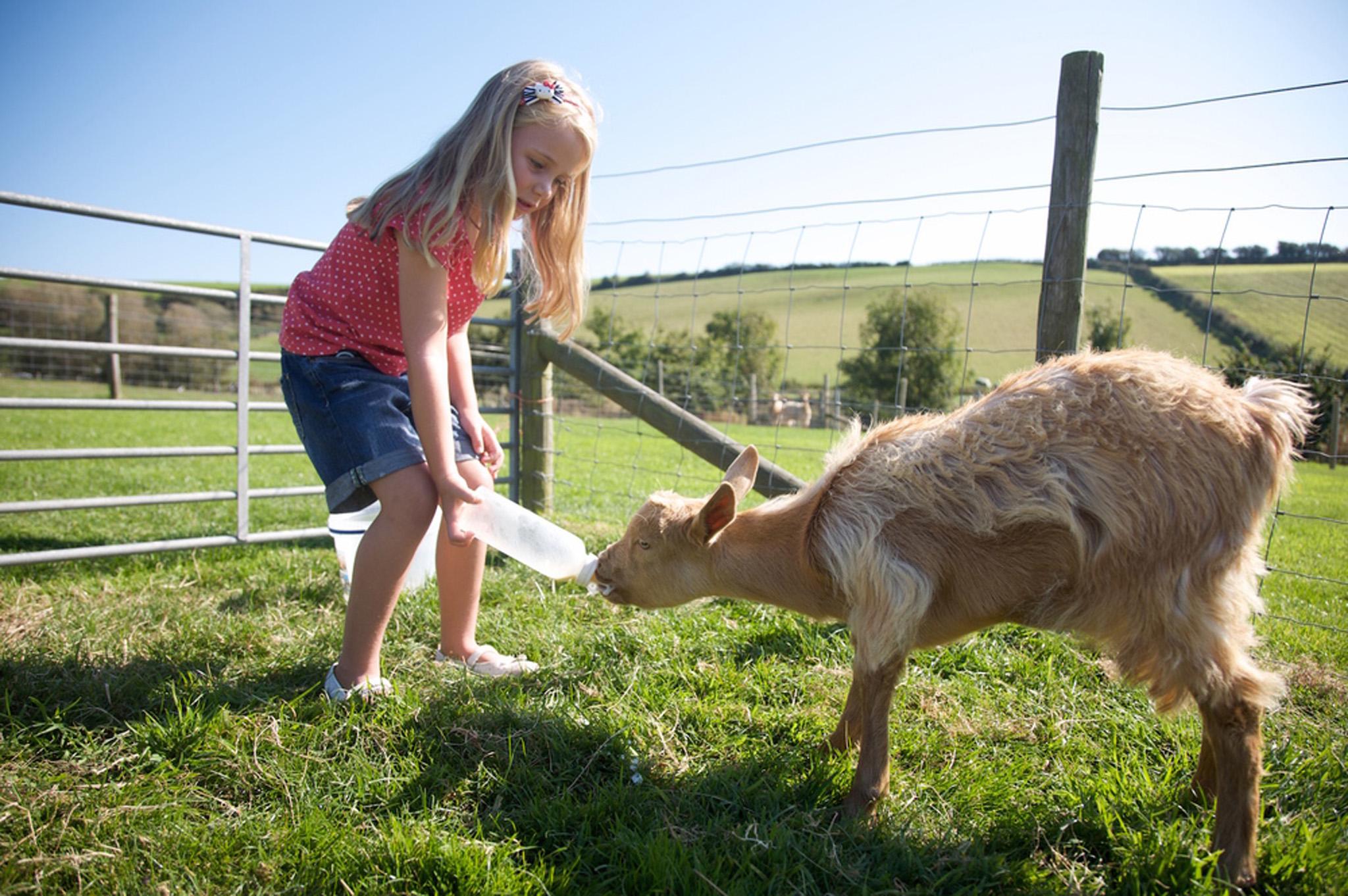 Nettlecombe Farm offers yoga, fishing, and the chance to get close to nature