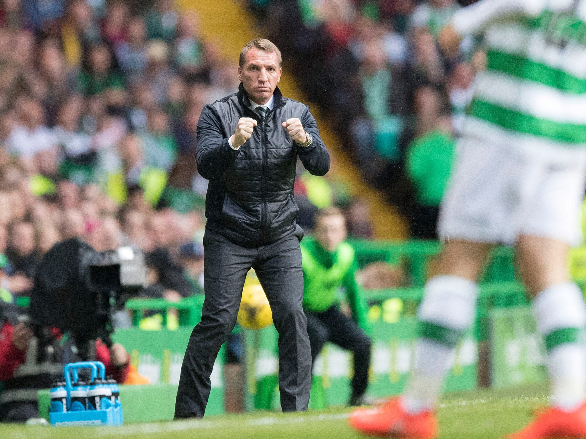 Brendan Rodgers celebrates Celtic's progression to the Champions League play-offs