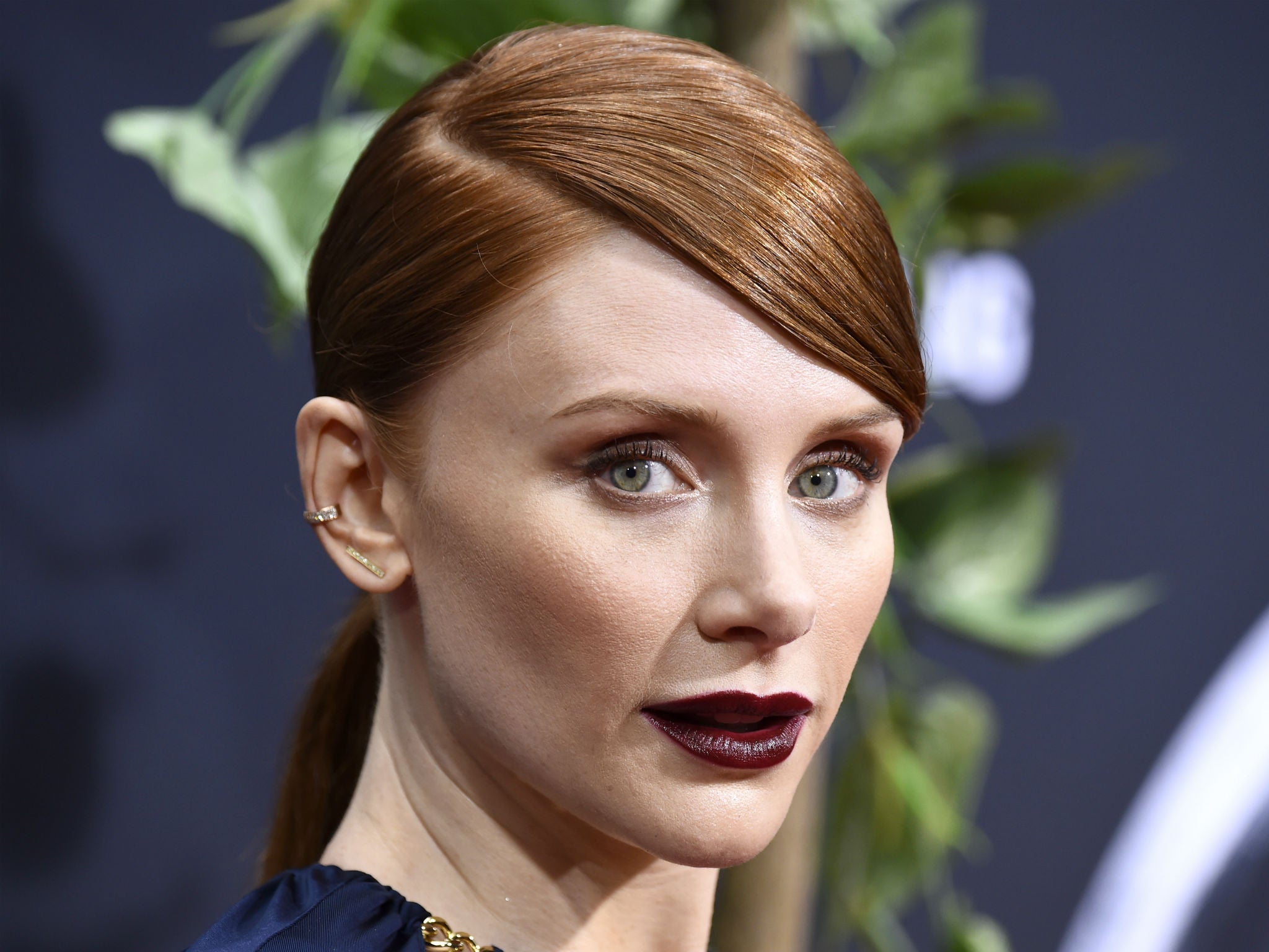 Bryce Dallas Howard starred in one of last year’s highest-grossing movies, ‘Jurassic World’