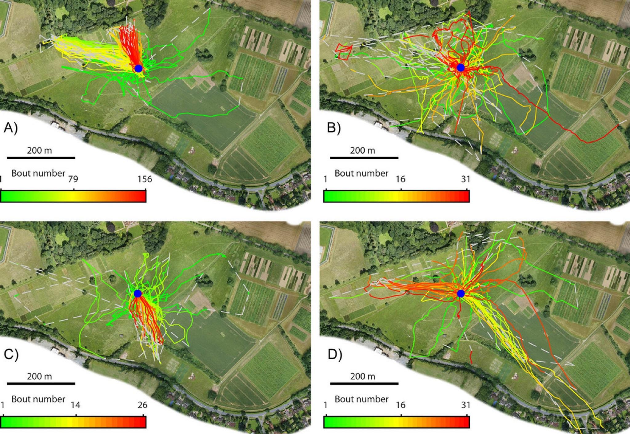 Lifetime recorded flights of the four bees, with colours representing early (green), mid (yellows) and late period (red) flights (Woodgate/Makinson/Lim/Reynolds/Chittka)