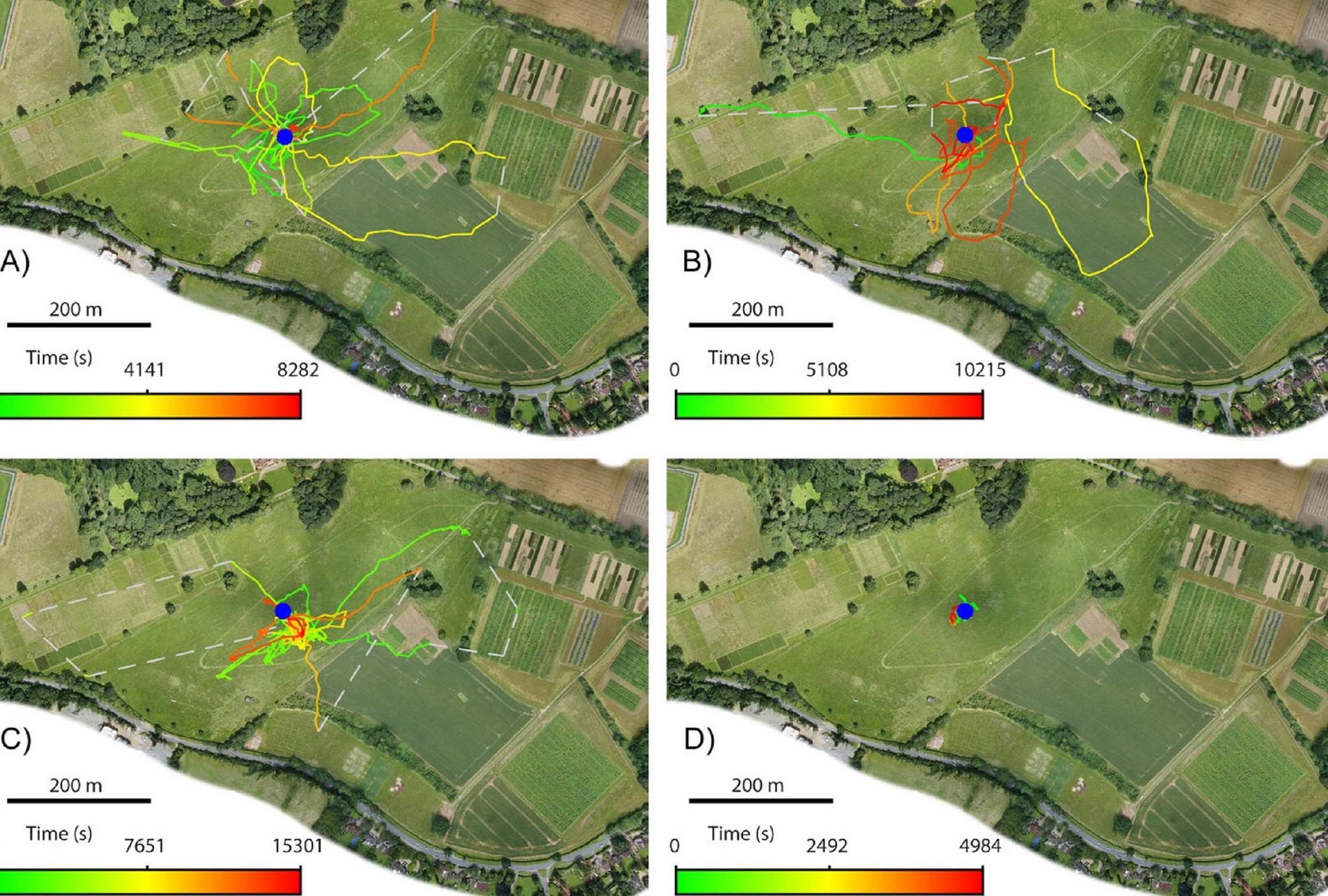 Initial exploratory flights of the four bees. Colours represent time in flight, moving from green through yellow to red. Grey dashed lines show estimated routes (Woodgate/Makinson/Lim/Reynolds/Chittka)