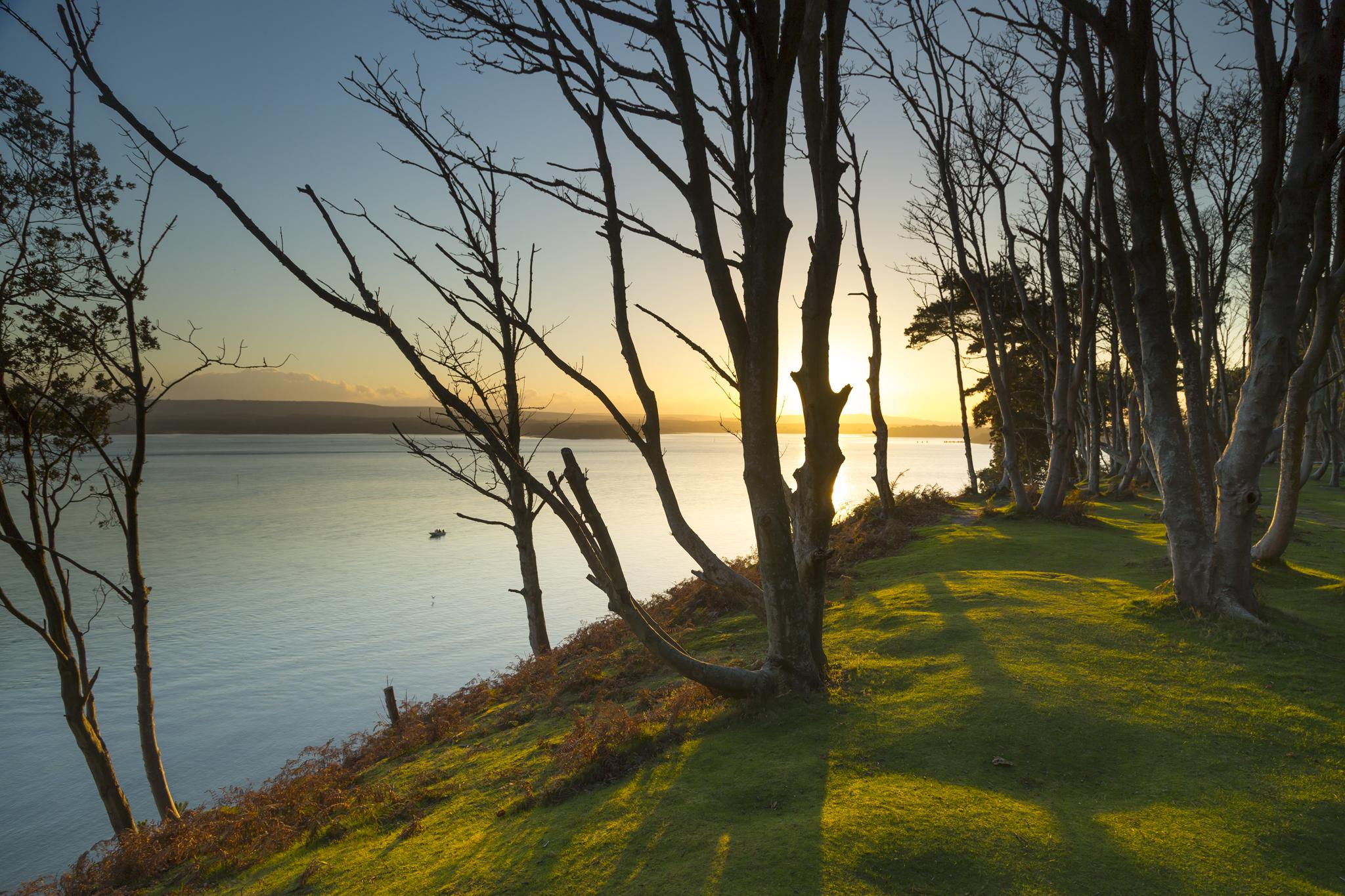 The National Trust's AGM is taking place this weekend