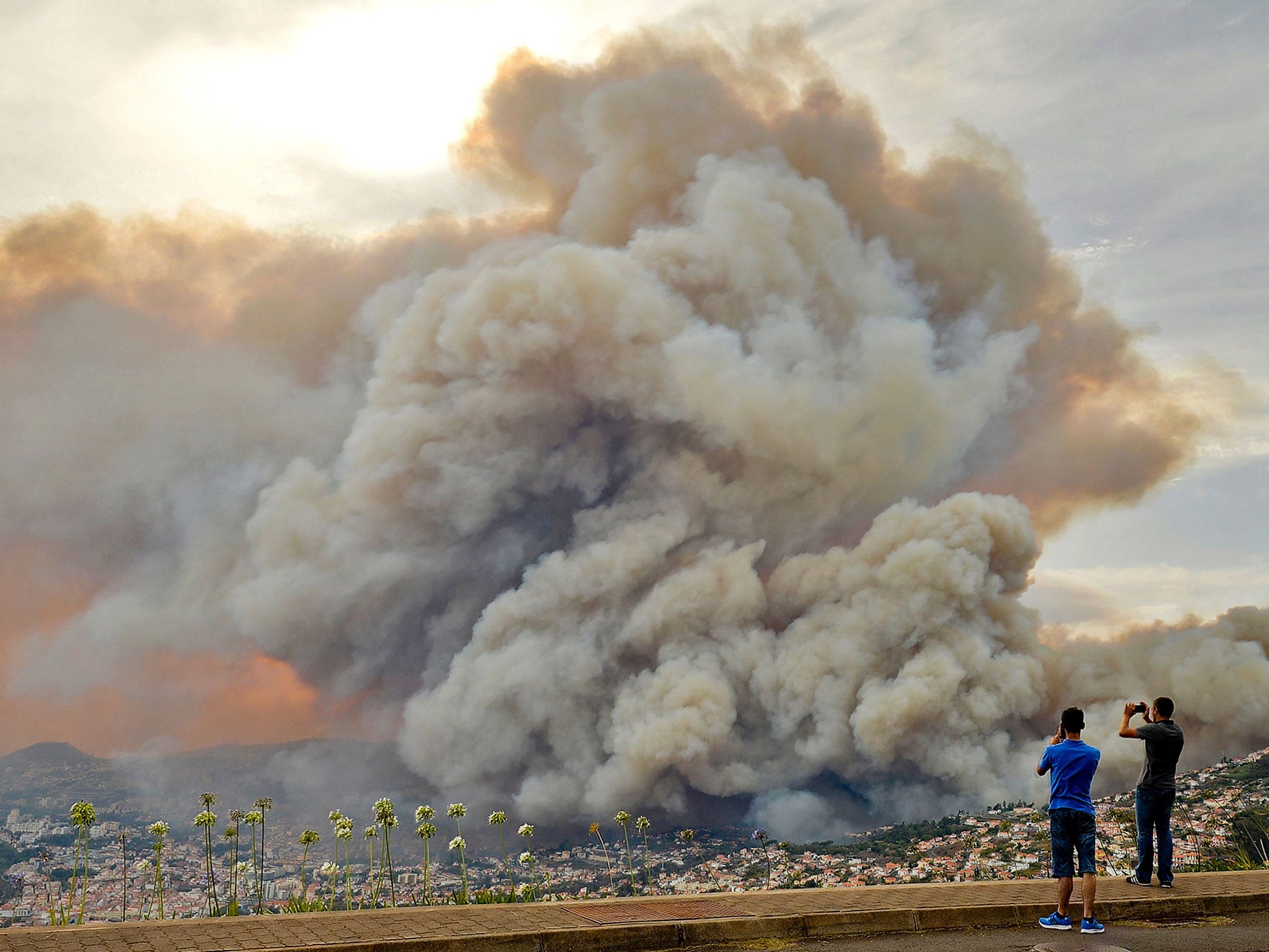 Eight firefighters required medical treatment after inhaling smoke as high winds fanned the blaze