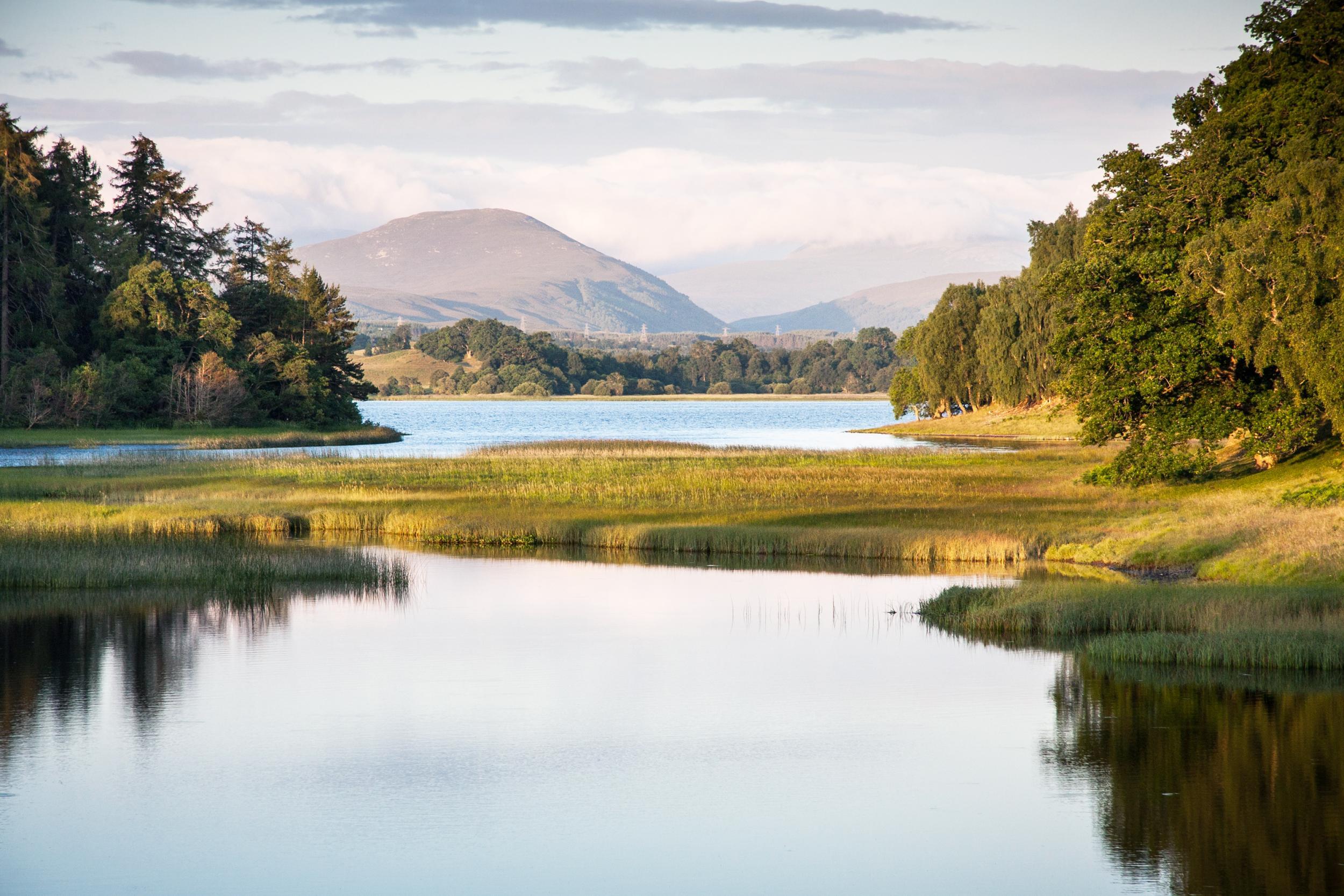 The Cairngorms are home to pine forests and mirror-still lochs