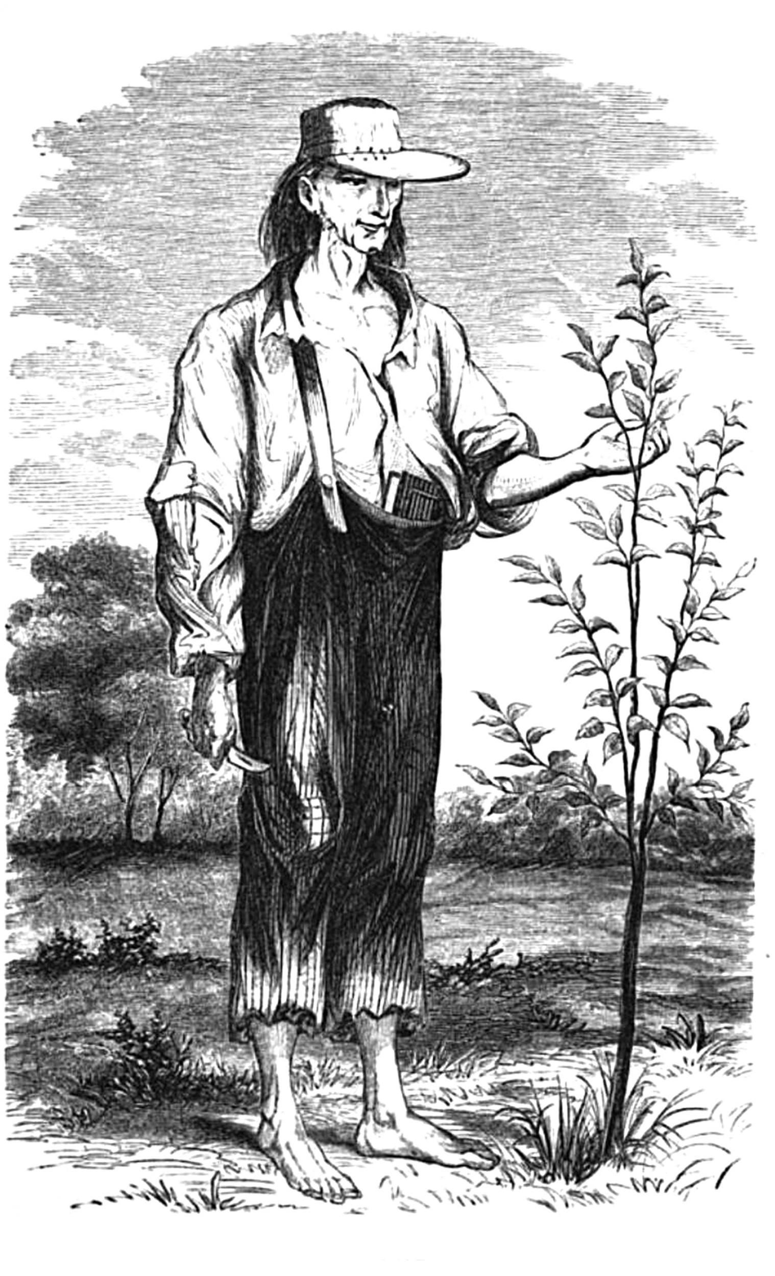 Johnny Appleseed, the American folk hero