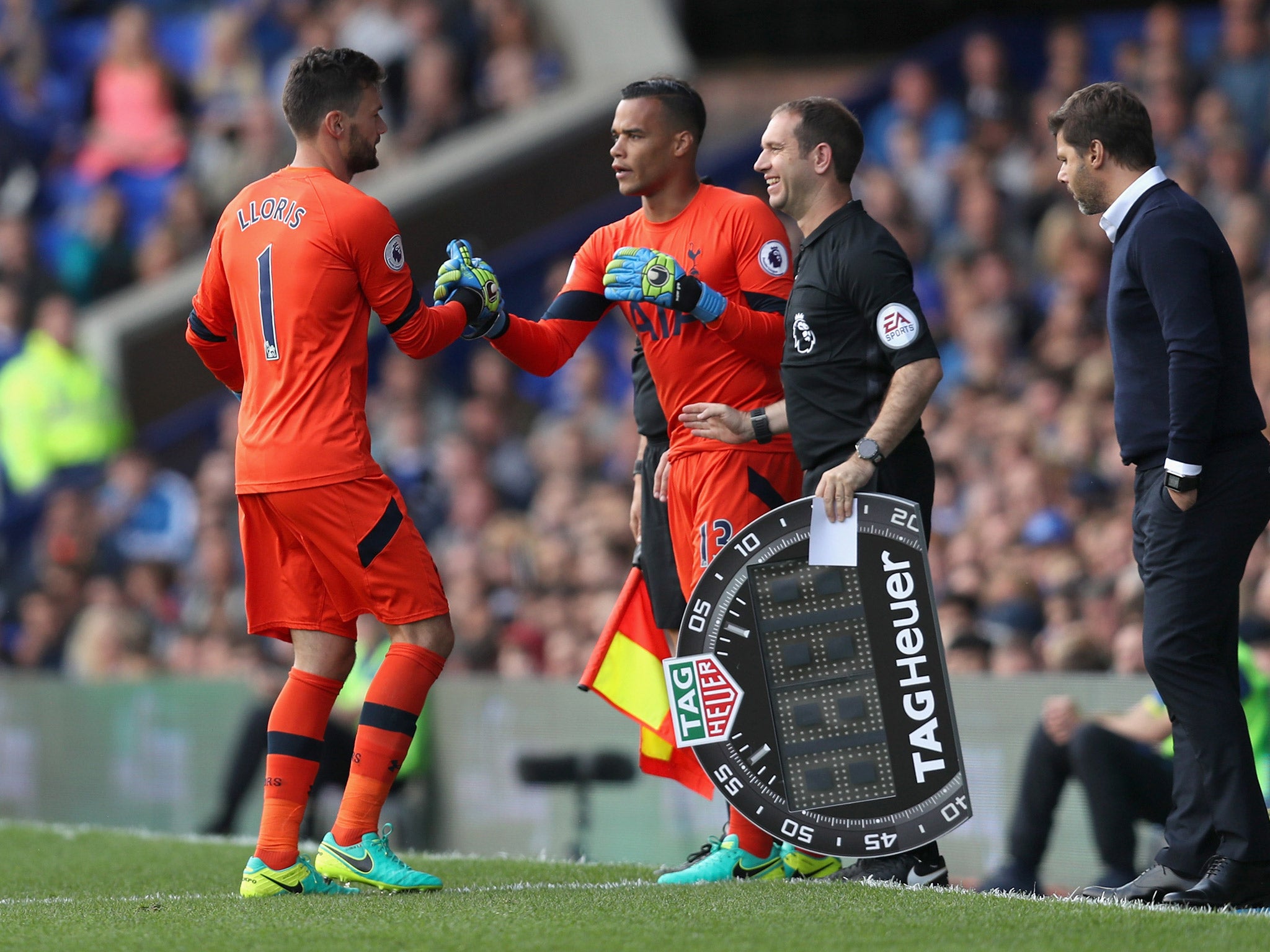 Hugo Lloris will miss the next four weeks with injury