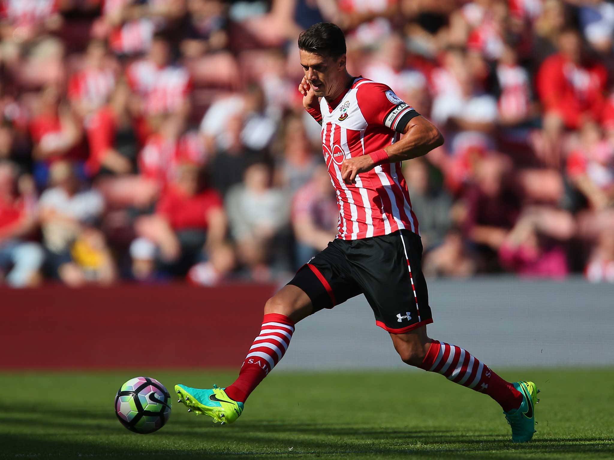 Jose Fonte could be set to join Manchester United this summer