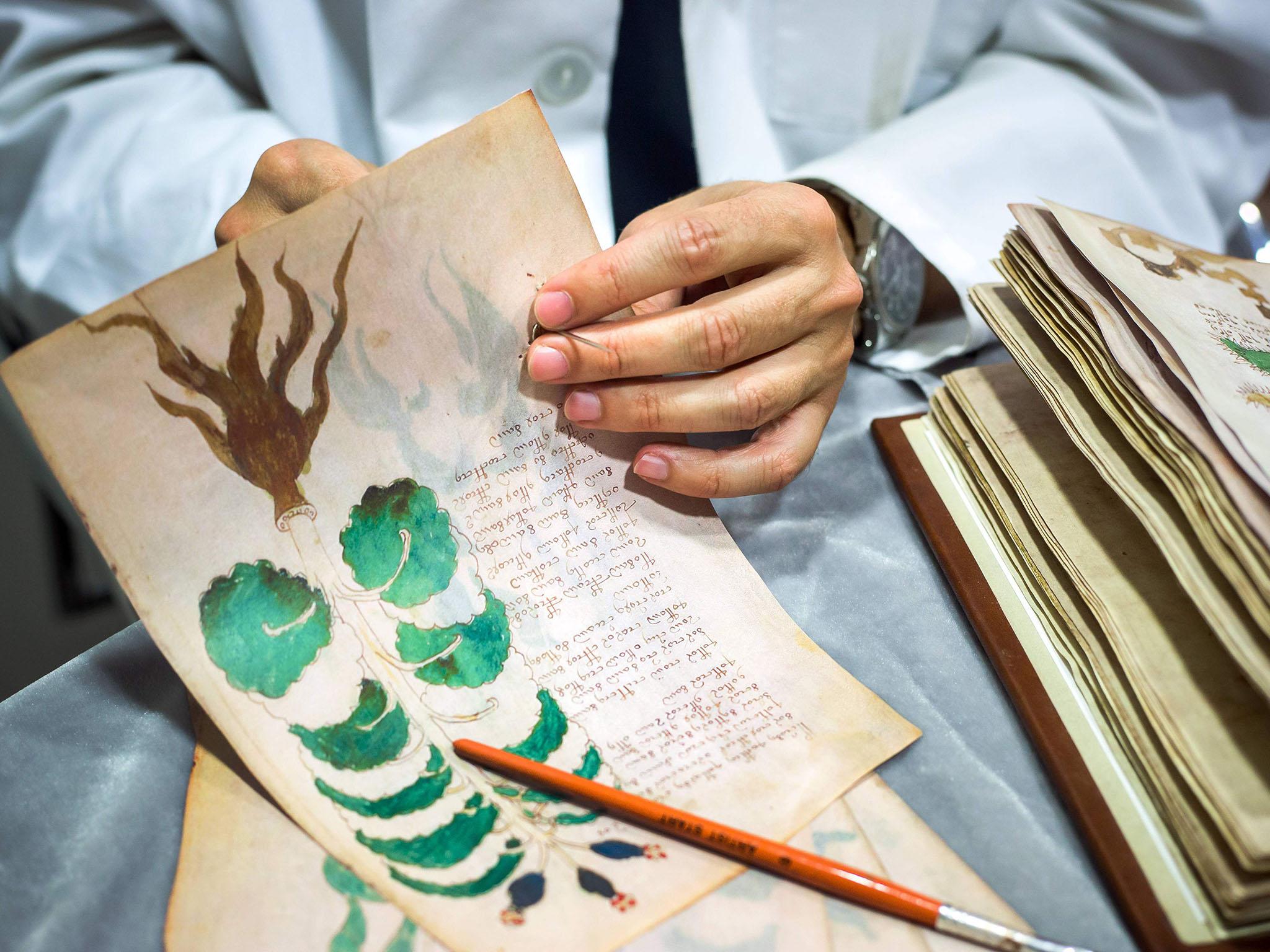 The precious document containing elegant writing and strange drawings of unidentified plants and naked women is believed to have been written six centuries ago in an unknown or coded language that no one -- not even the best cryptographers -- has ever cracked