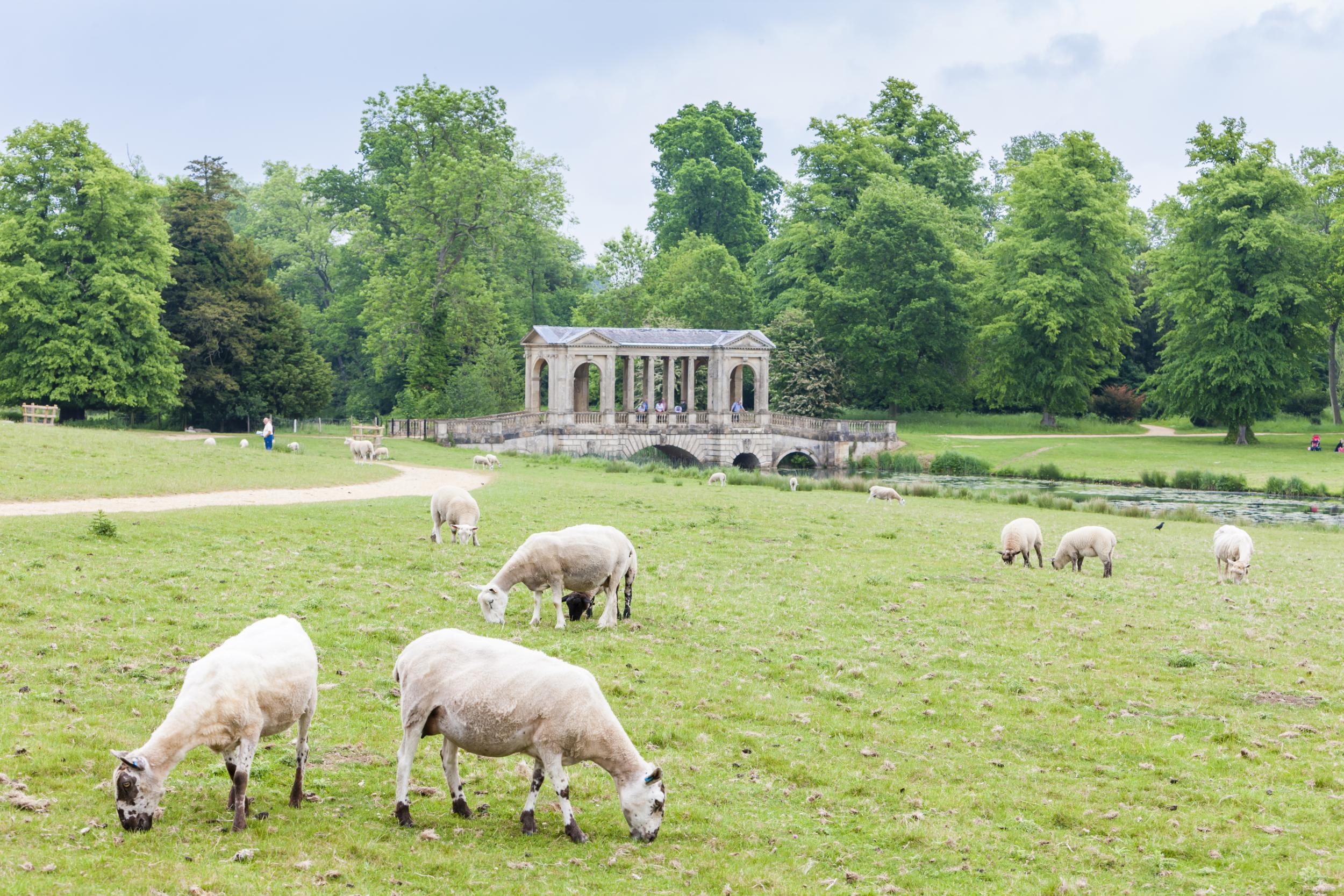 Capability Brown is credited with inventing the classic English country garden