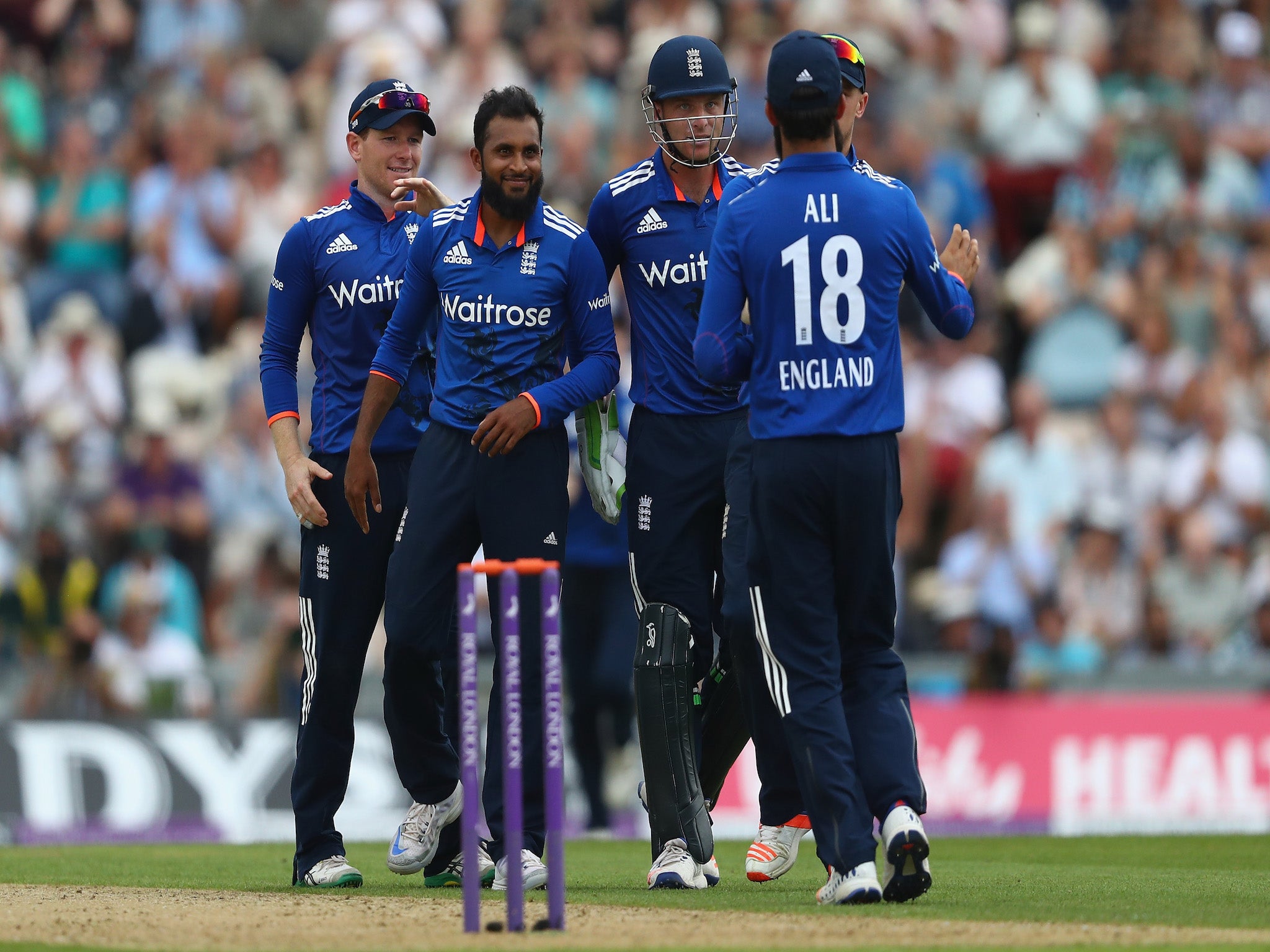 Adil Rashid celebrates taking one of England's wickets