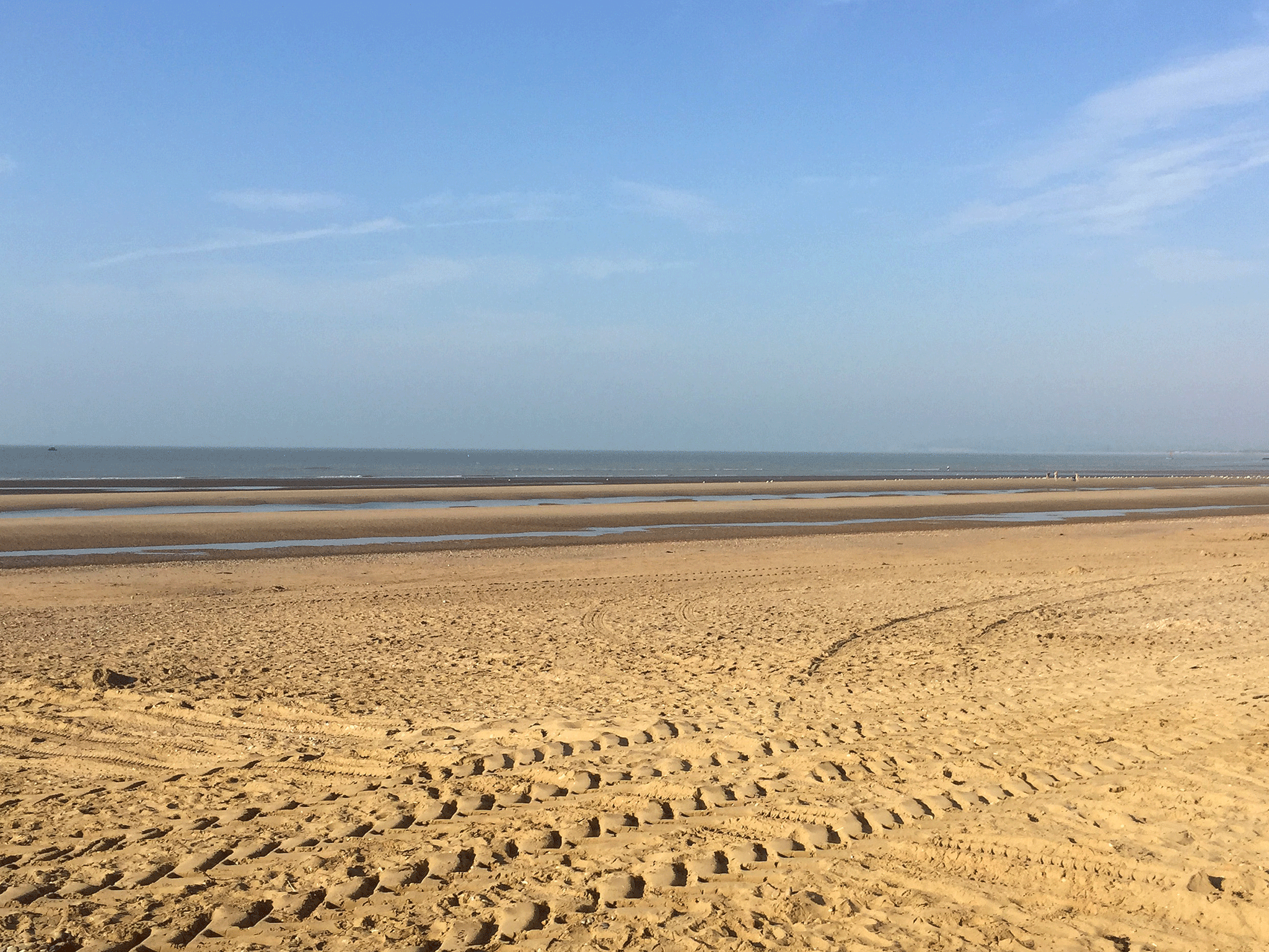 The beach can be packed with up to 25,000 people at its busiest period, said Rother District Council