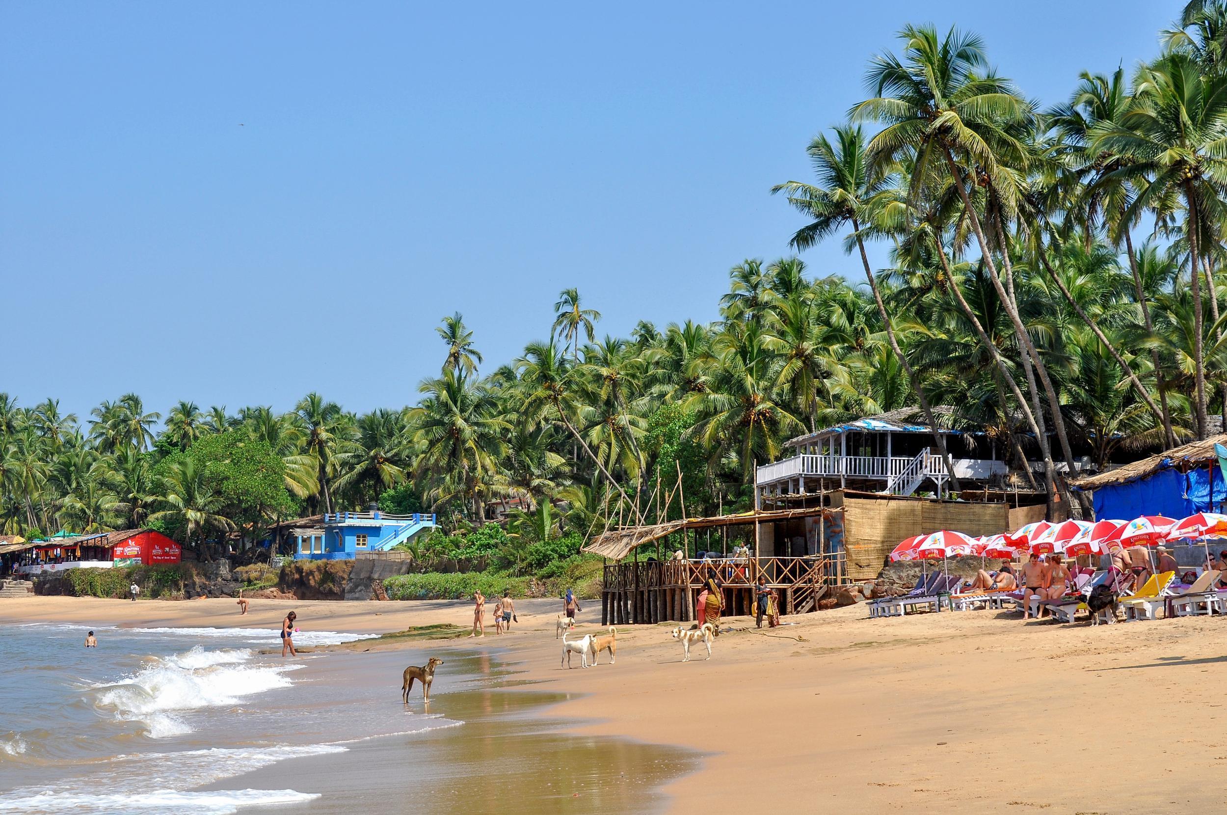 Goa’s beaches can be reached by direct flight from London – but how cheaply?