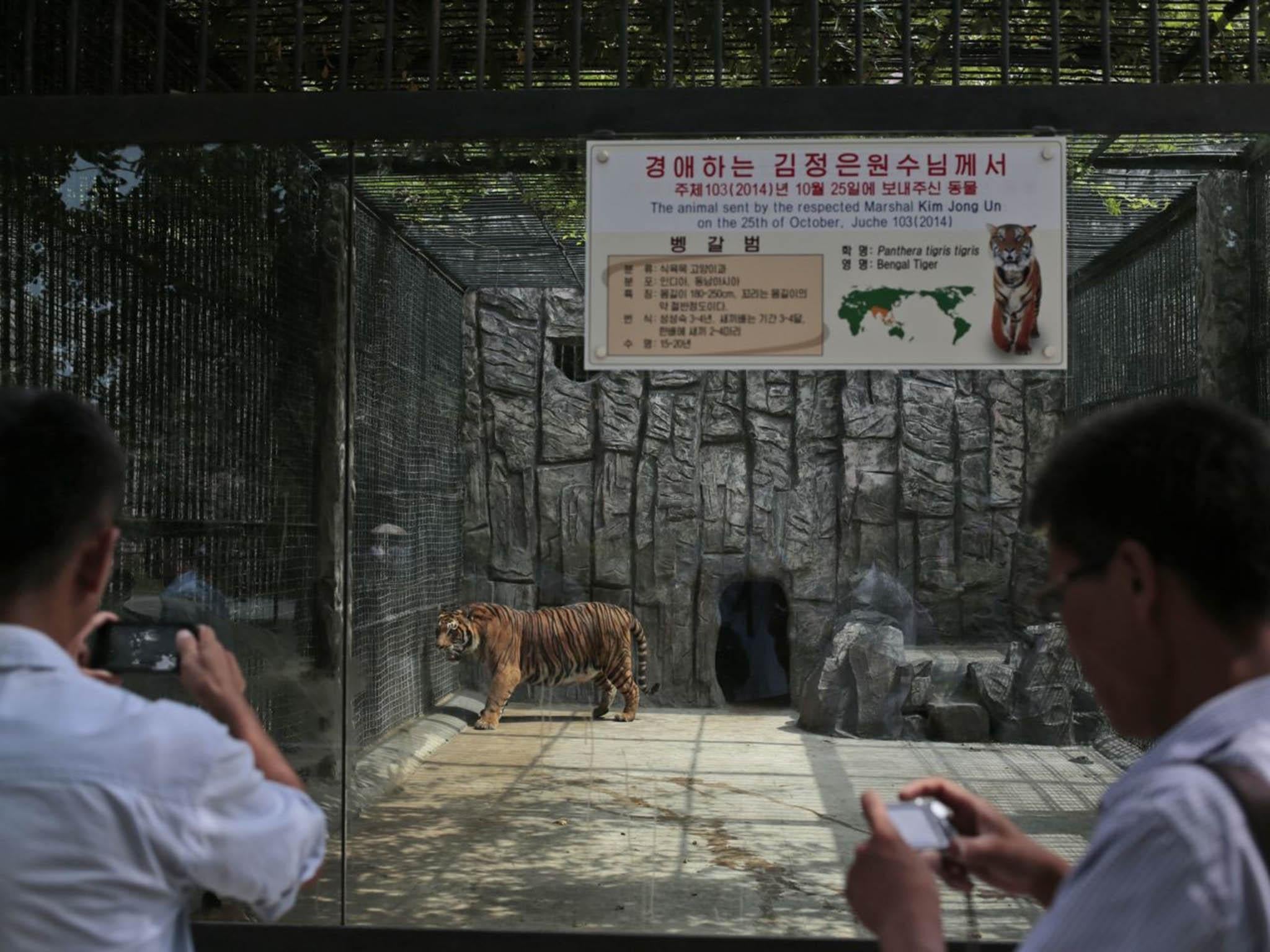 If North Koreans identify at all with the caged beasts, they’re not saying so