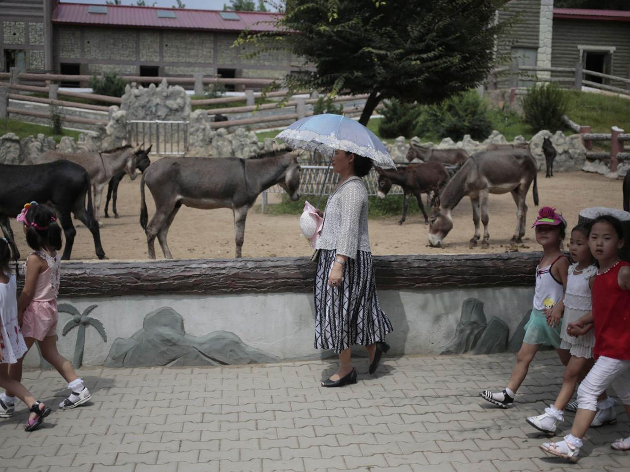 Visitors are able to pat donkeys in their pens