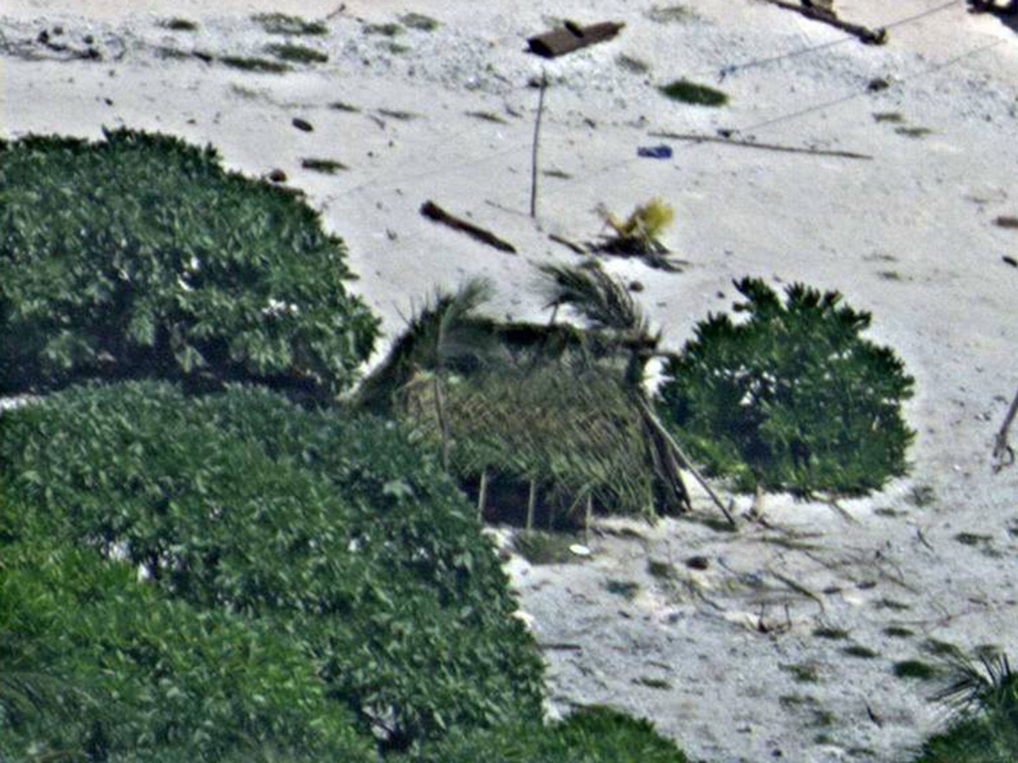 The stranded couple used driftwood and leaves to construct a shelter