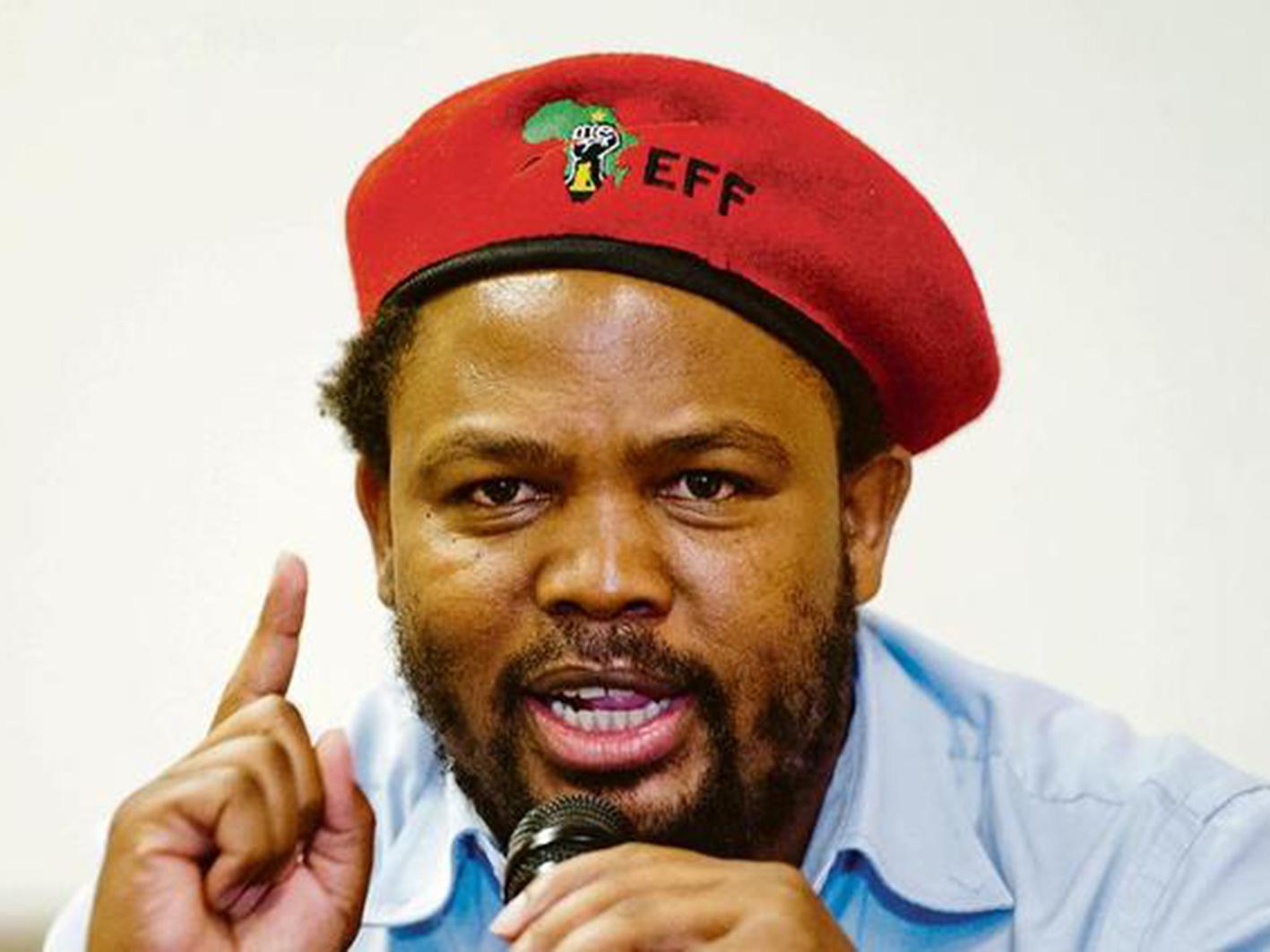 Mngxitama is demanding 'land expropriation without compensation'