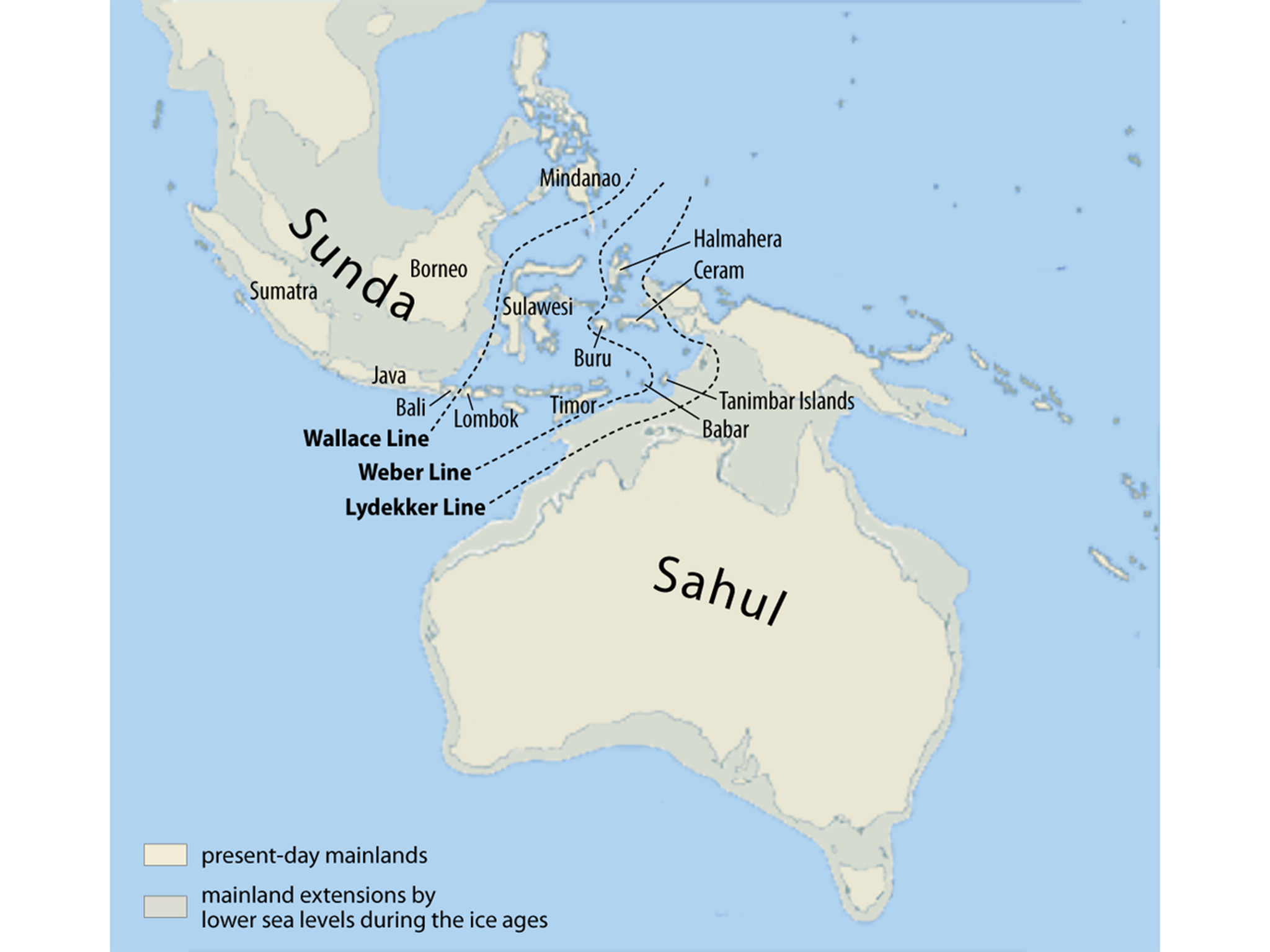 Deep ocean dotted with islands separates Australia and Asia Maximilian Dörrbecker/Wikimedia Commons