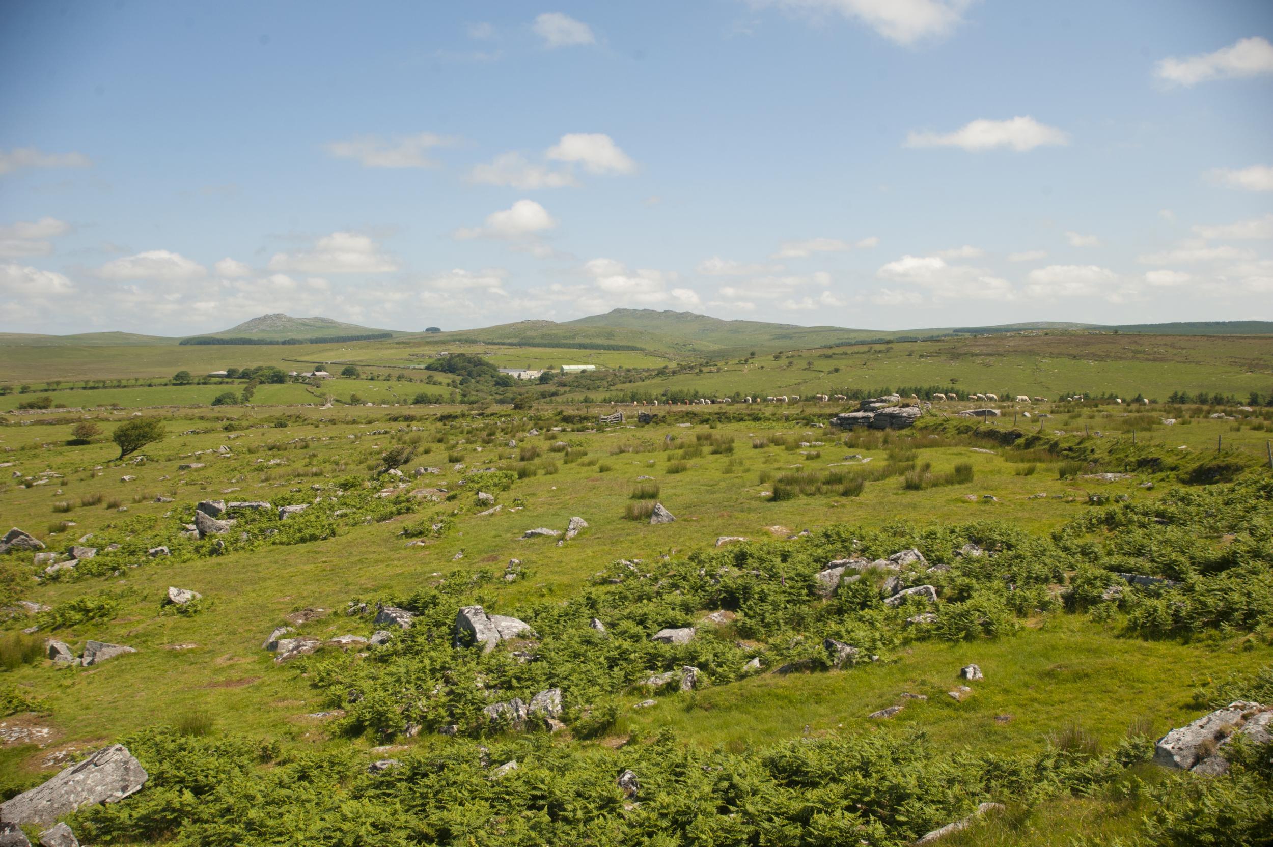 Rugged Bodmin Moor