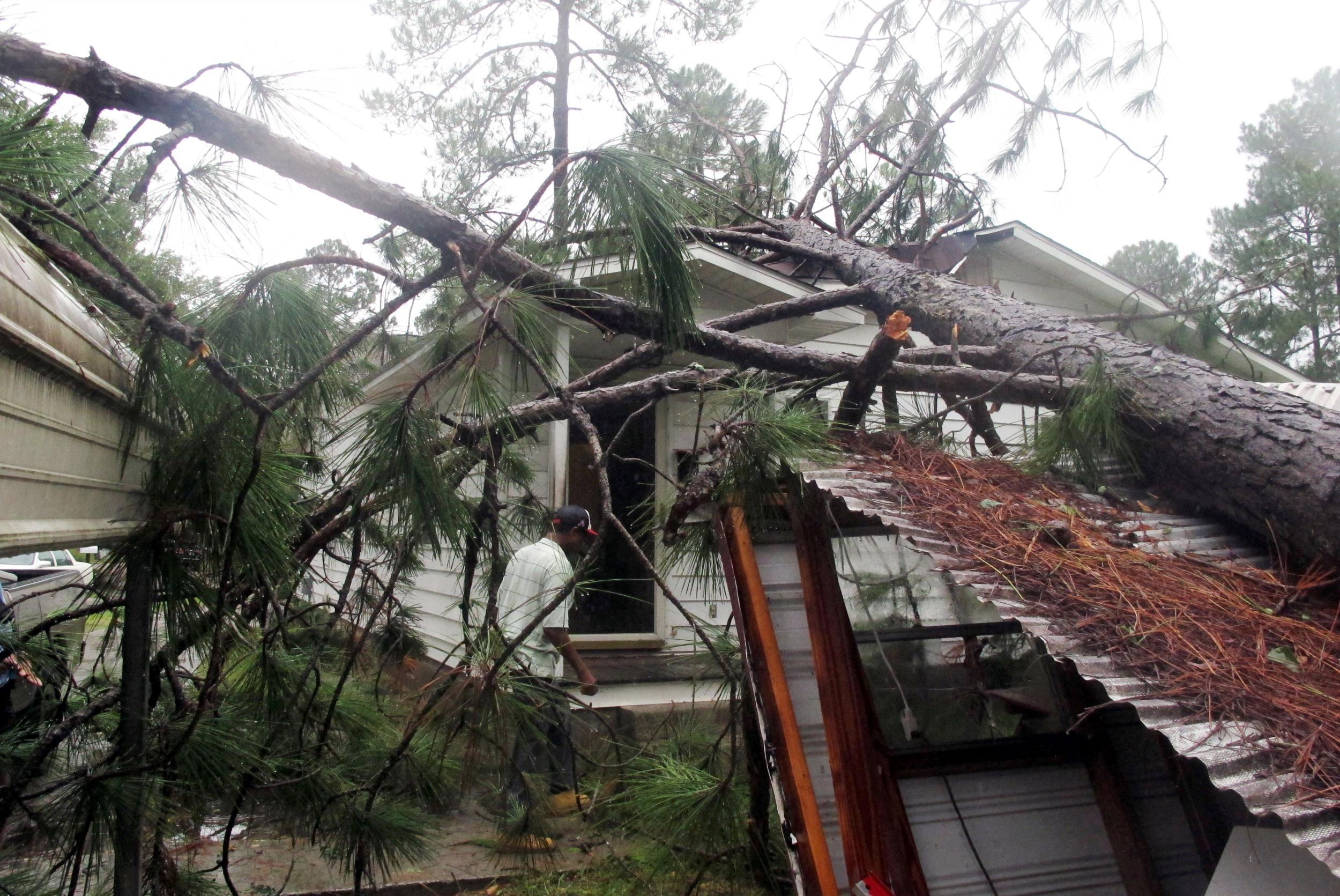 Melvin Gatlin walks to the back door of his father's house in Valdosta, Goergia, beneath a pine tree that crashed on to the roof