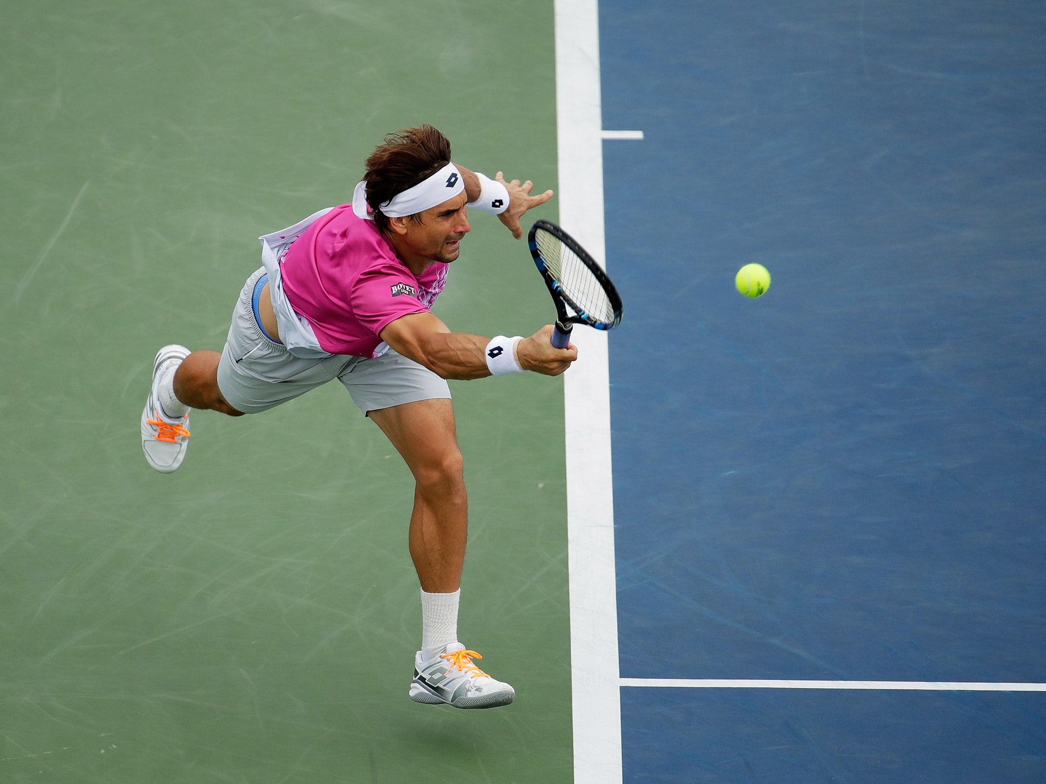 David Ferrer had no answer for Del Potro