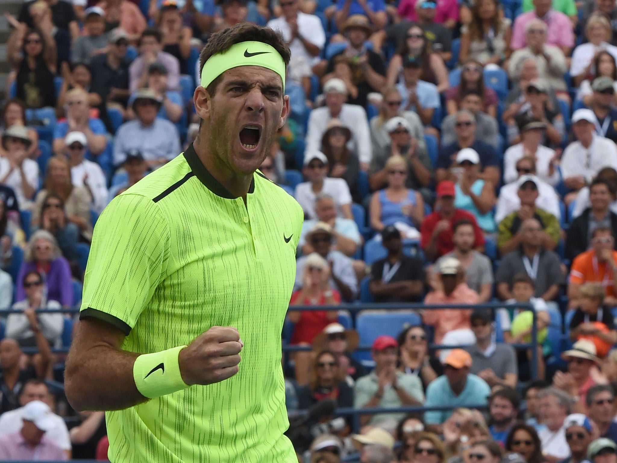 Juan Martin del Potro celebrates his victory over David Ferrer in the US Open third round