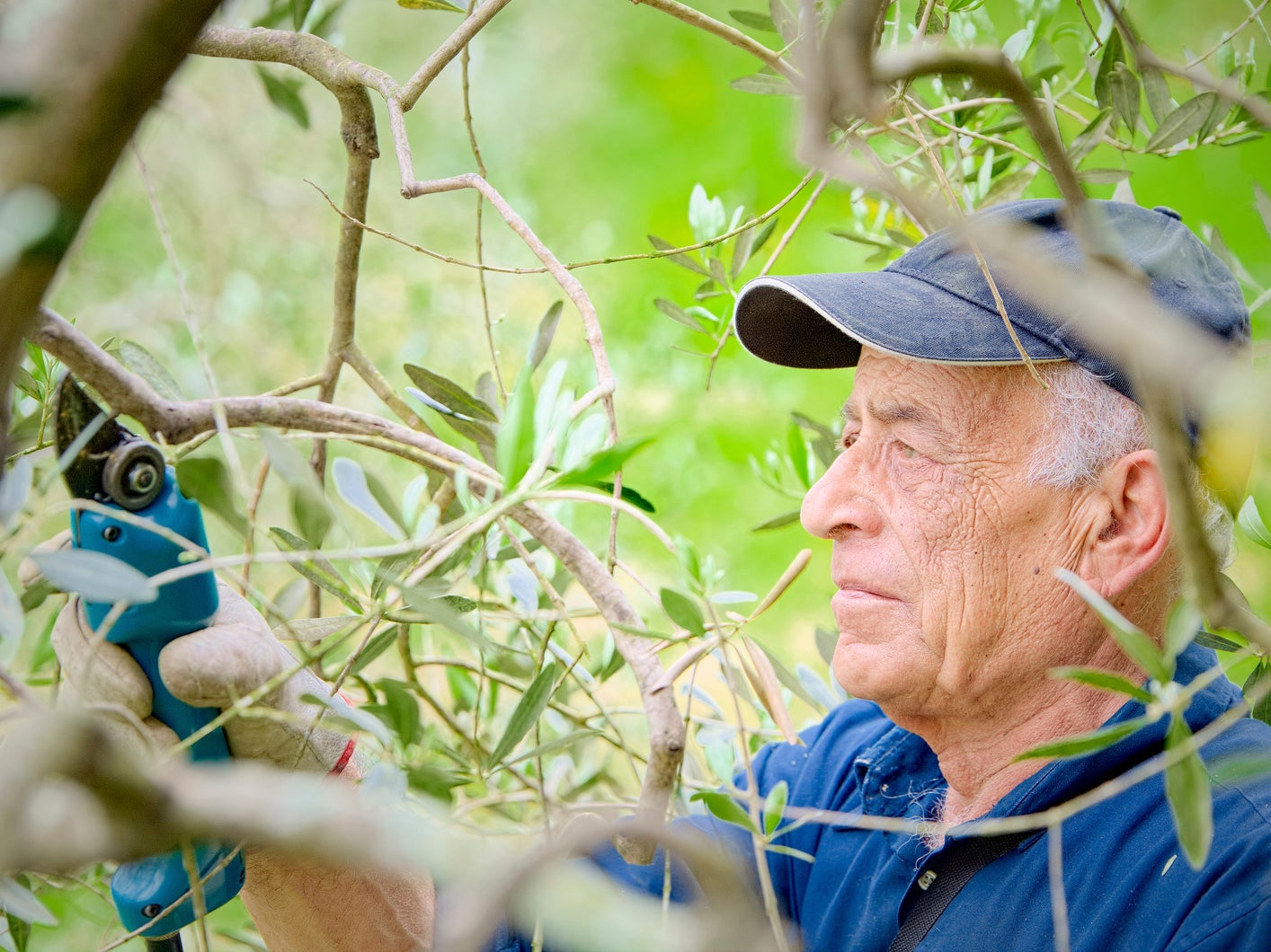 A farmer in Italy