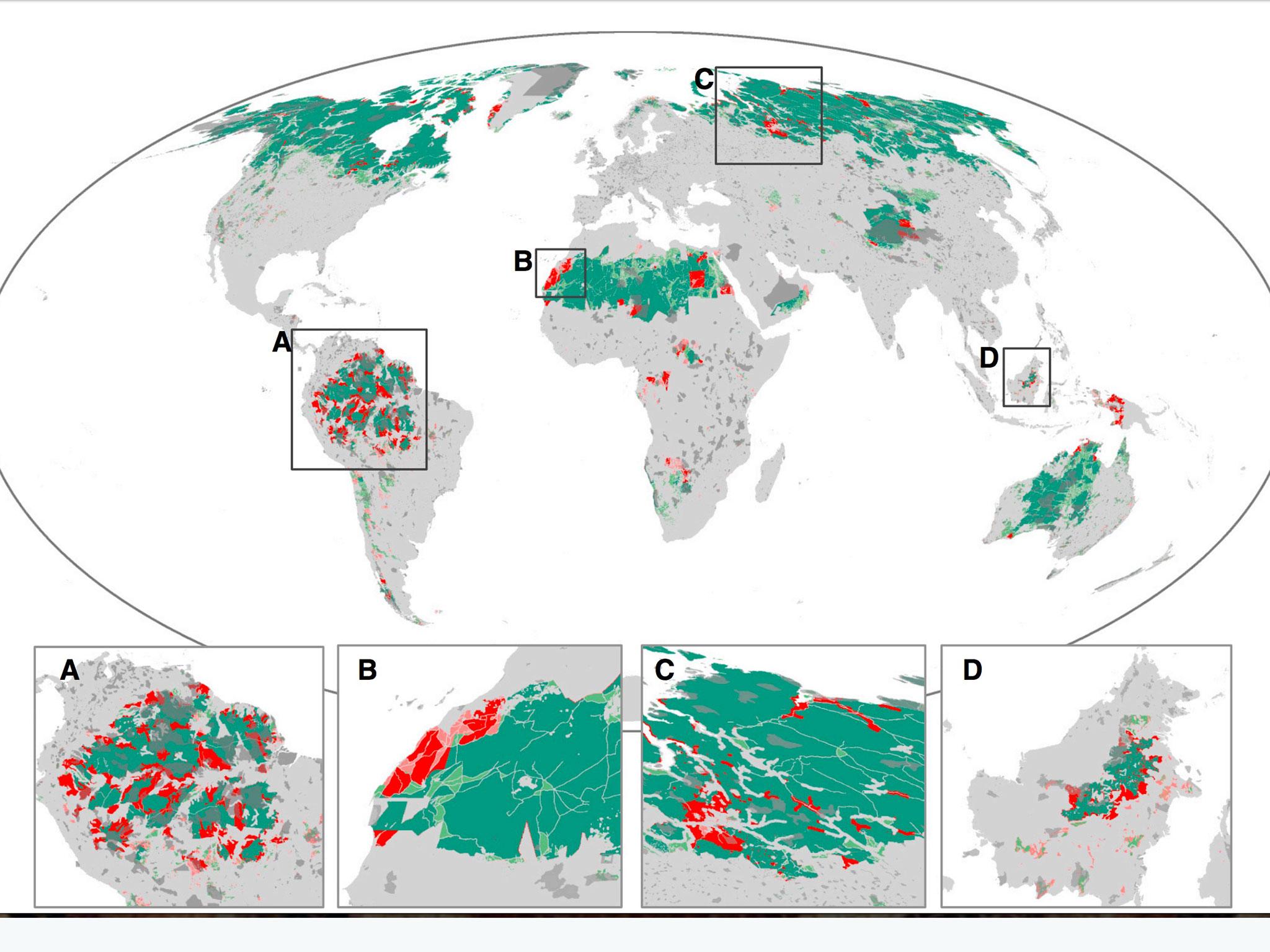 A map of the world showing the remaining wilderness areas in green and the losses over the last two decades in red. Dark grey indicates areas given legal protection like national parks.