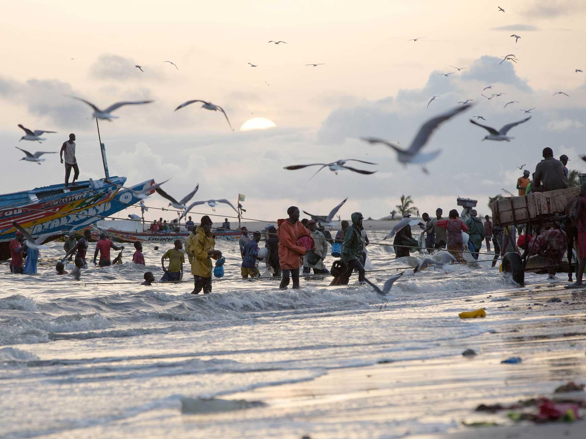 Local fisherman in Joal return at sunset
