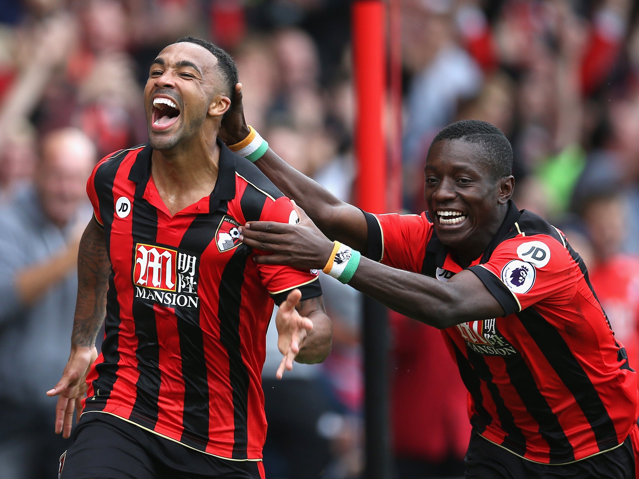 Wilson celebrates his winning strike