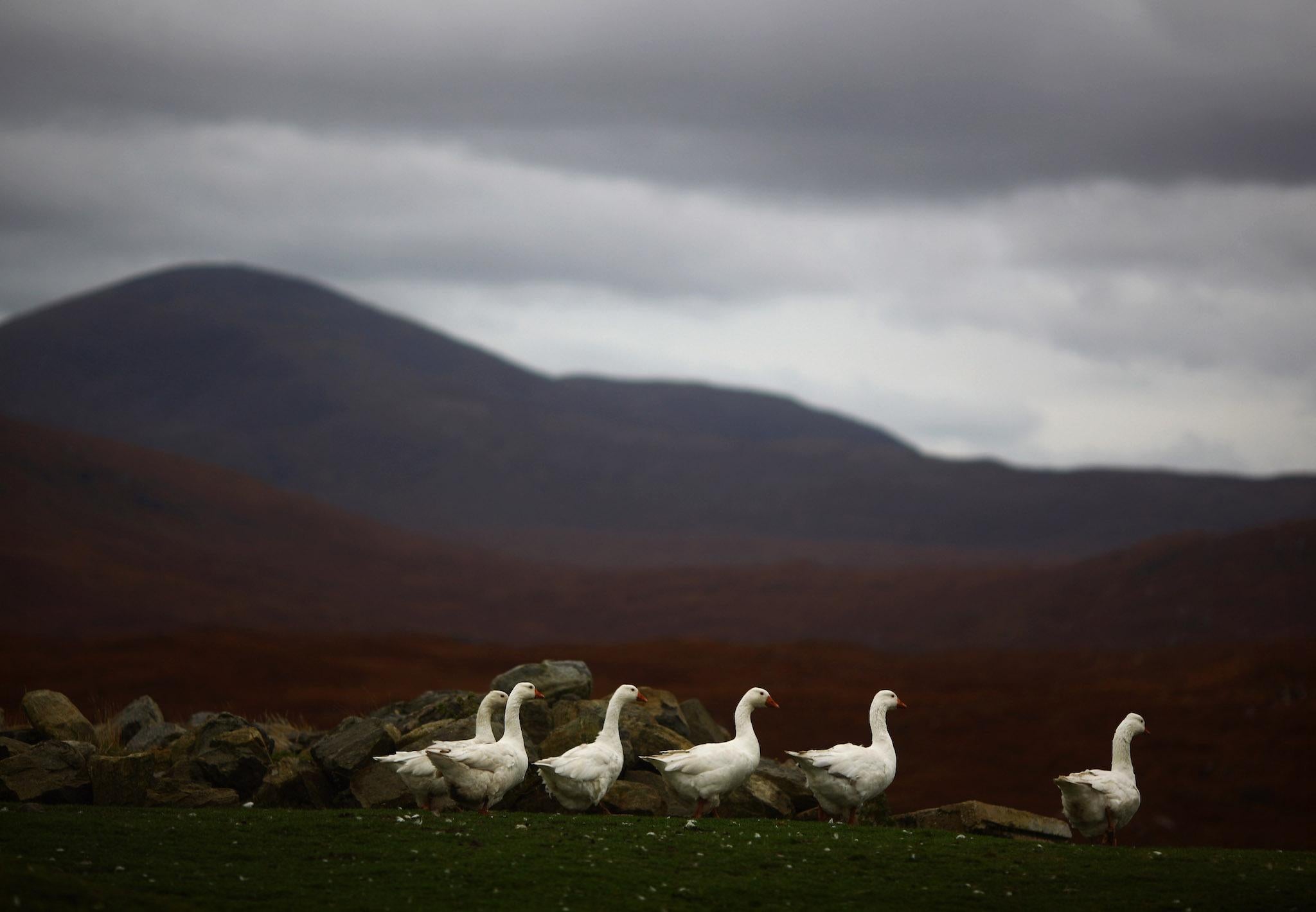 The islands of Barra and Uist share an important similarity with Mars