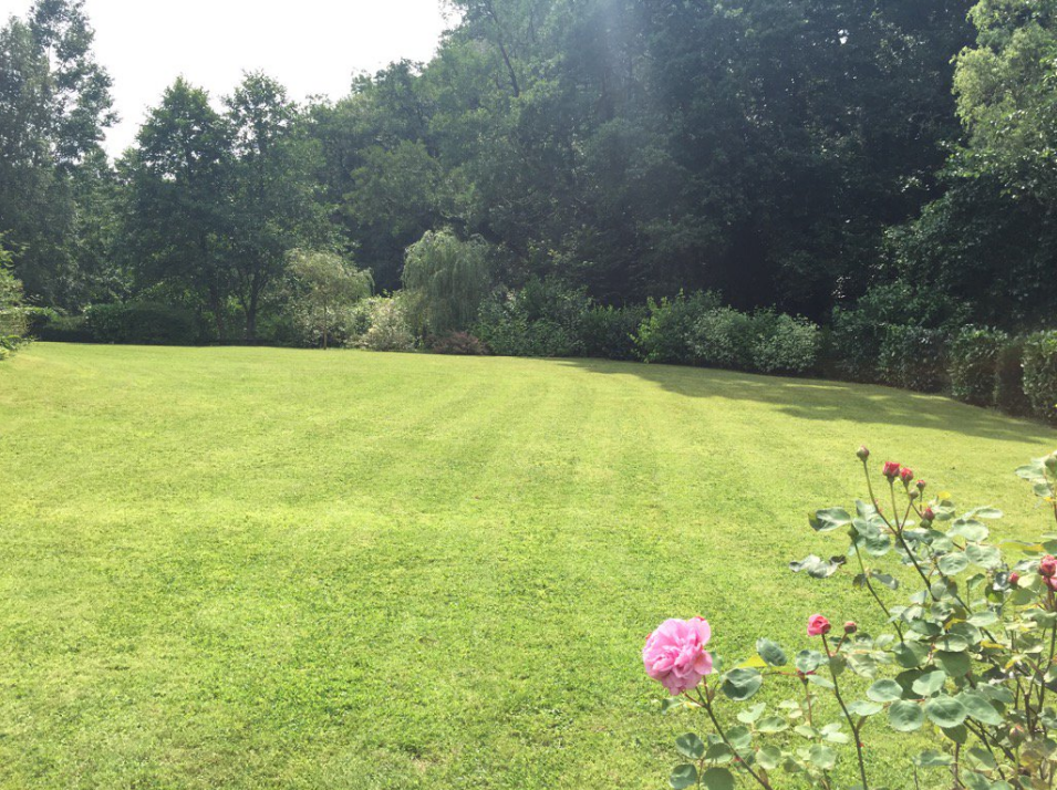 A beautiful British lawn, photographed by Sir Michael Barber