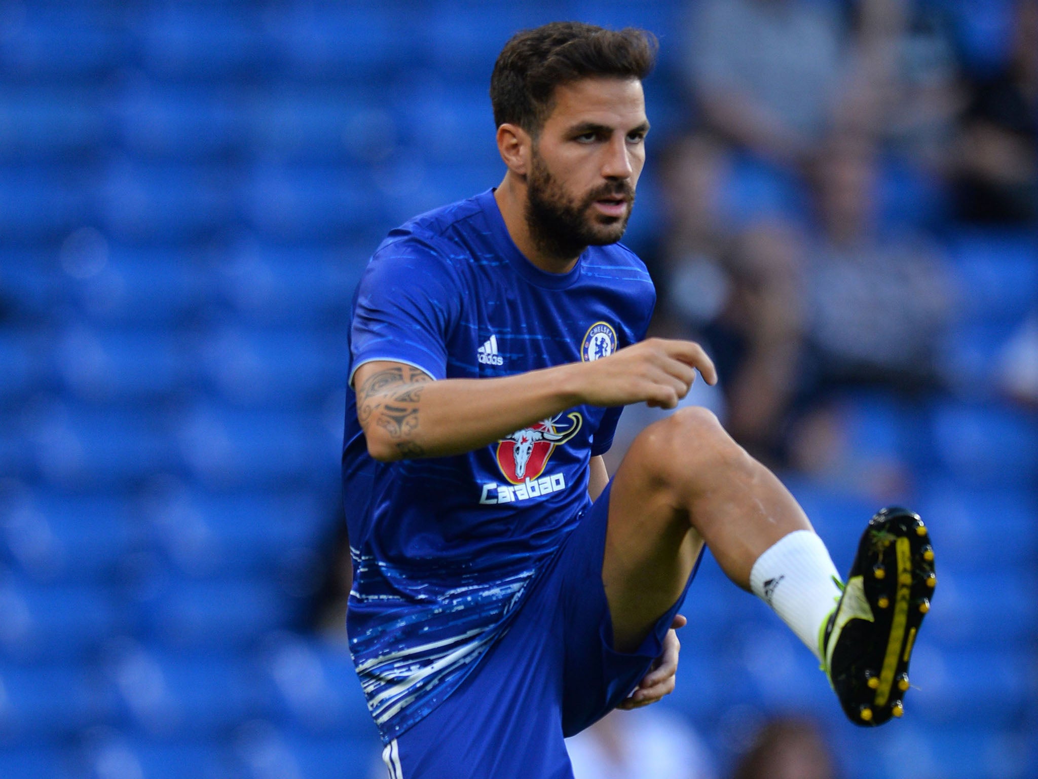 Cesc Fabregas has struggled for game time under Antonio Conte