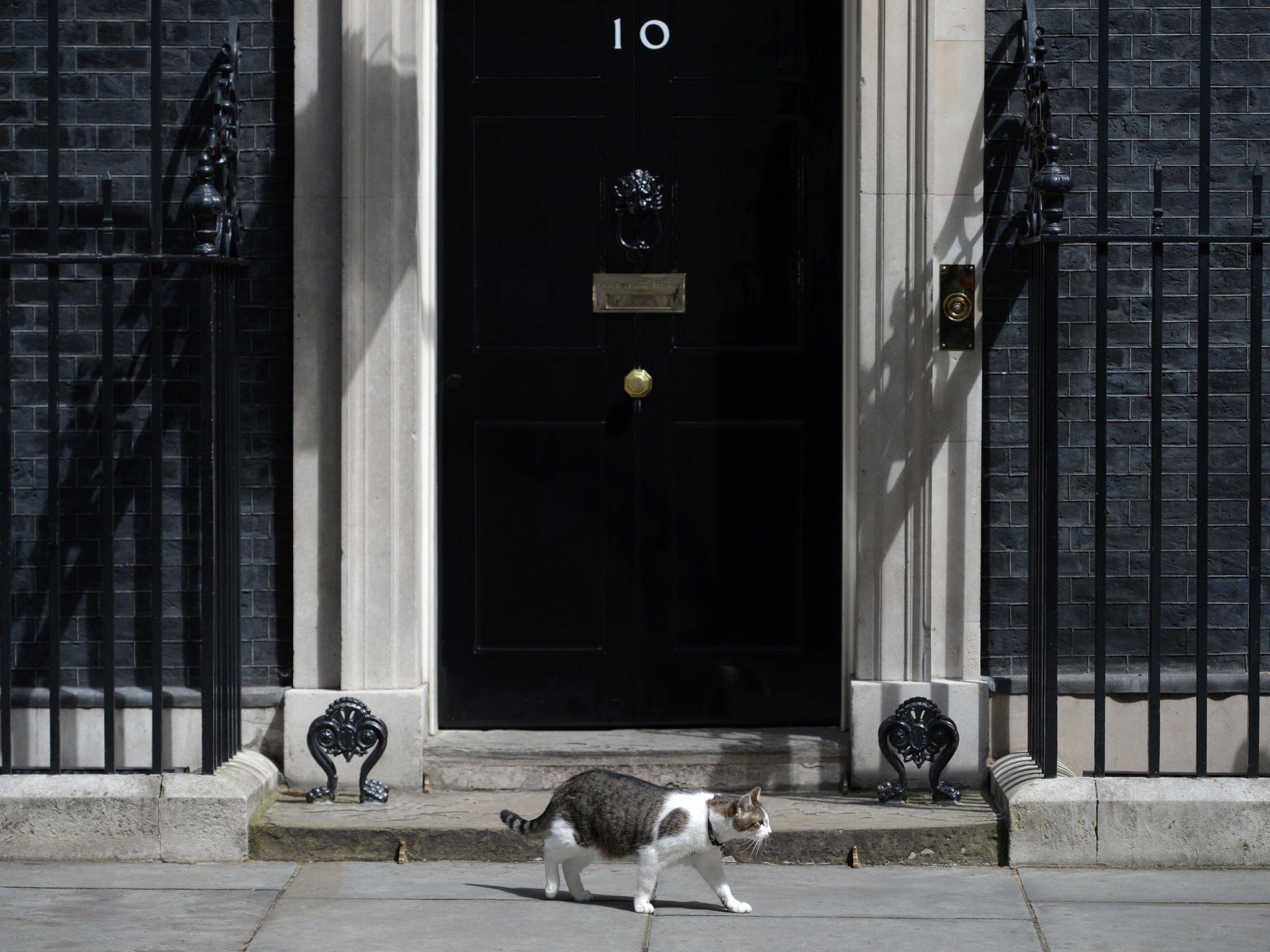 Larry was spotted limping outside Number 10