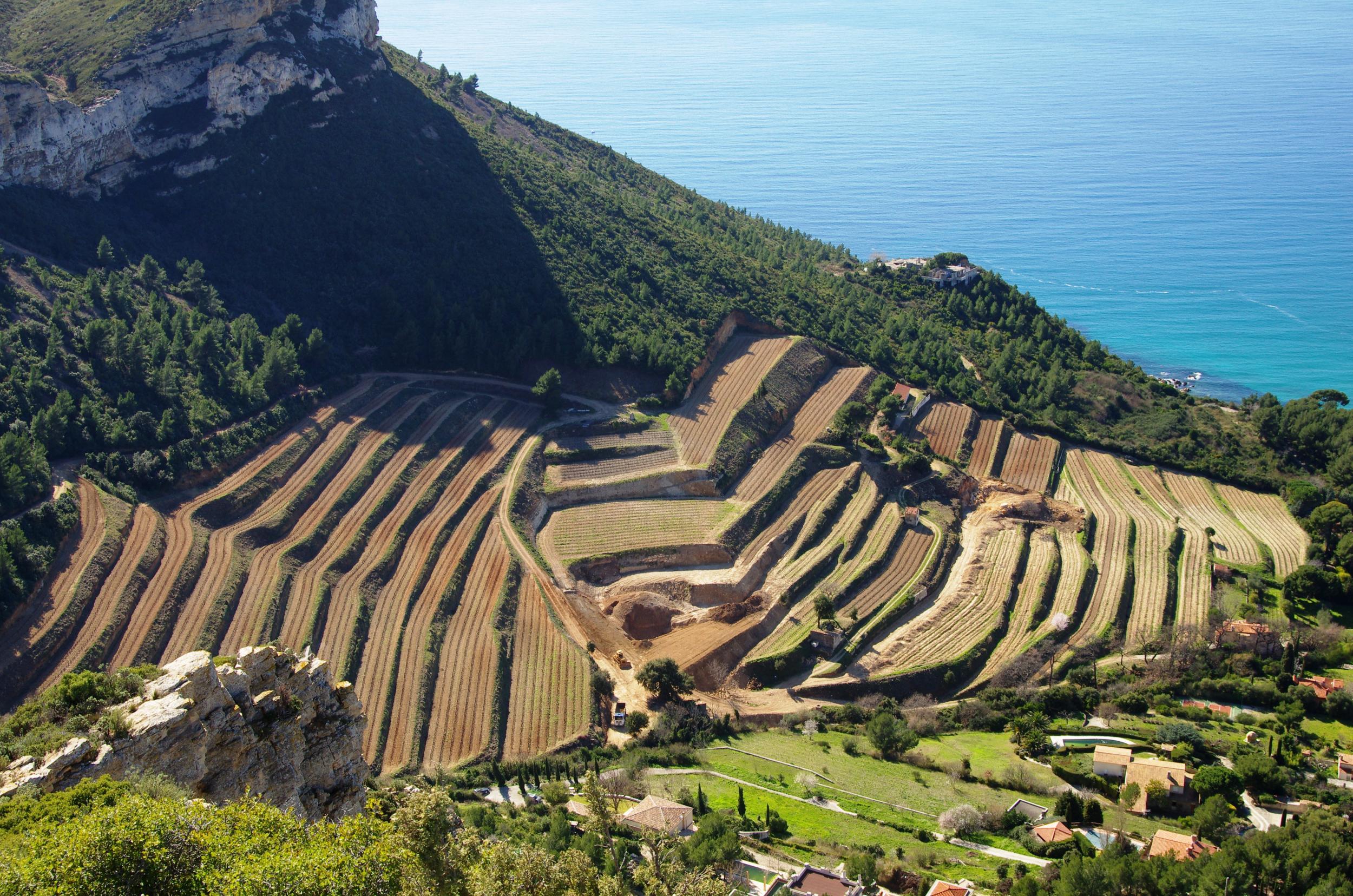 Cassis is said to contain distinctive mineral notes as a result of its proximity to the sea