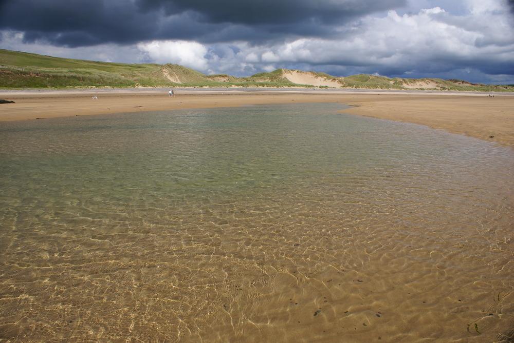 The Submerged Forests of West Wales