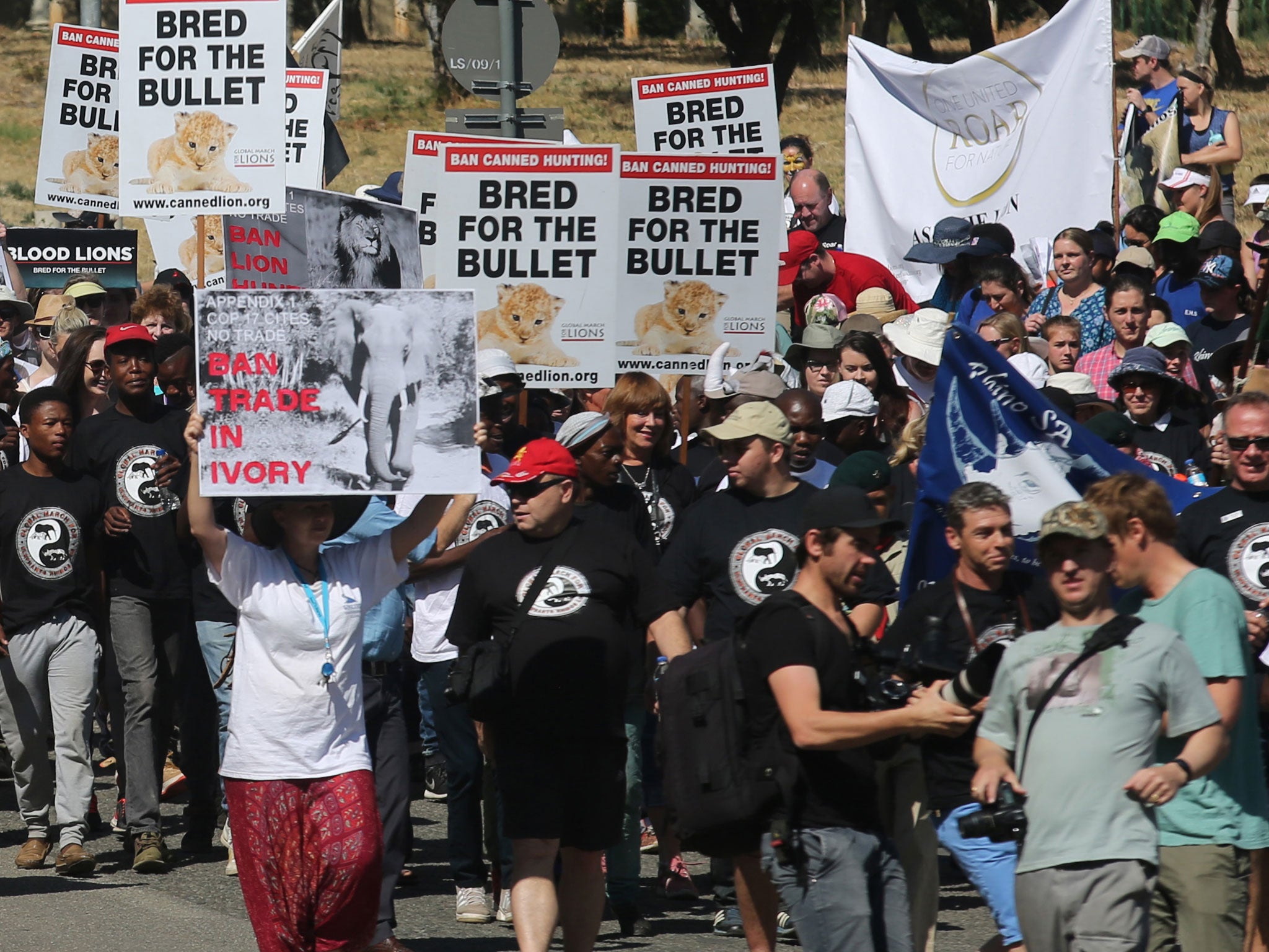 Activists marched to the convention to demonstrate against a number of issues, including the ivory trade