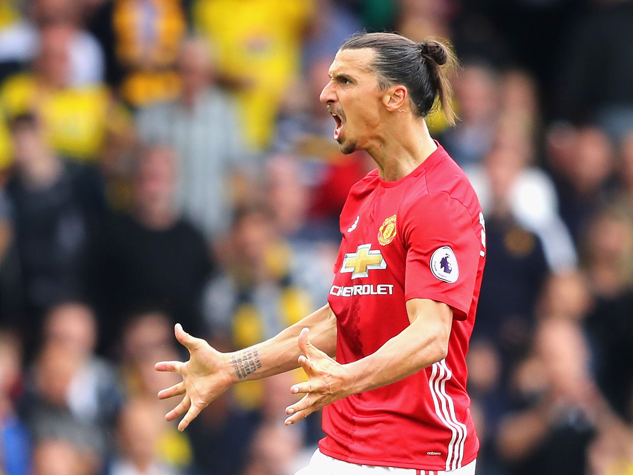 Ibrahimovic earned a black-belt in taekwondo as a 17-year-old