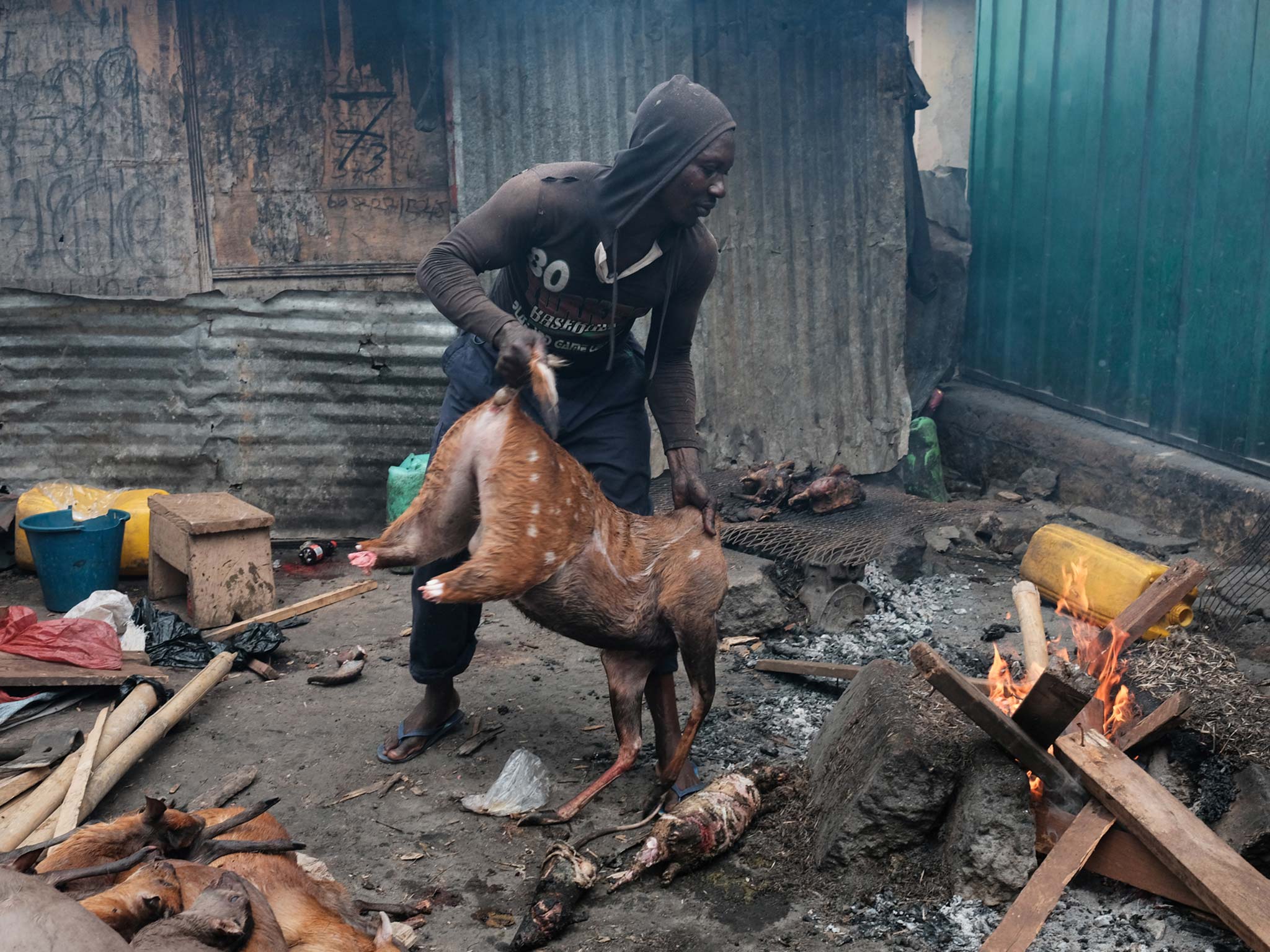 A man throwing a bushbuck carcass onto the fire at Atwemonom. He works in the burning area, where fur is singed and scraped off carcasses with a machete before they are butchered and sold. It is hot and dirty work, and leaves an acrid odour and a layer of greasy soot on everyone and everything