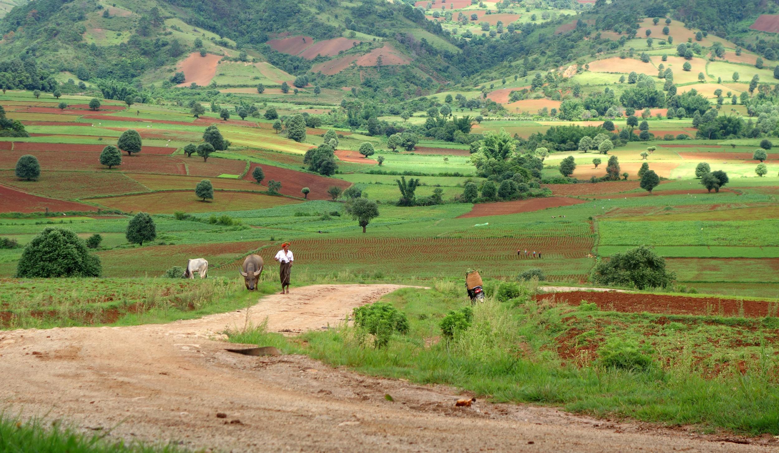 The countryside around hill town Kalaw