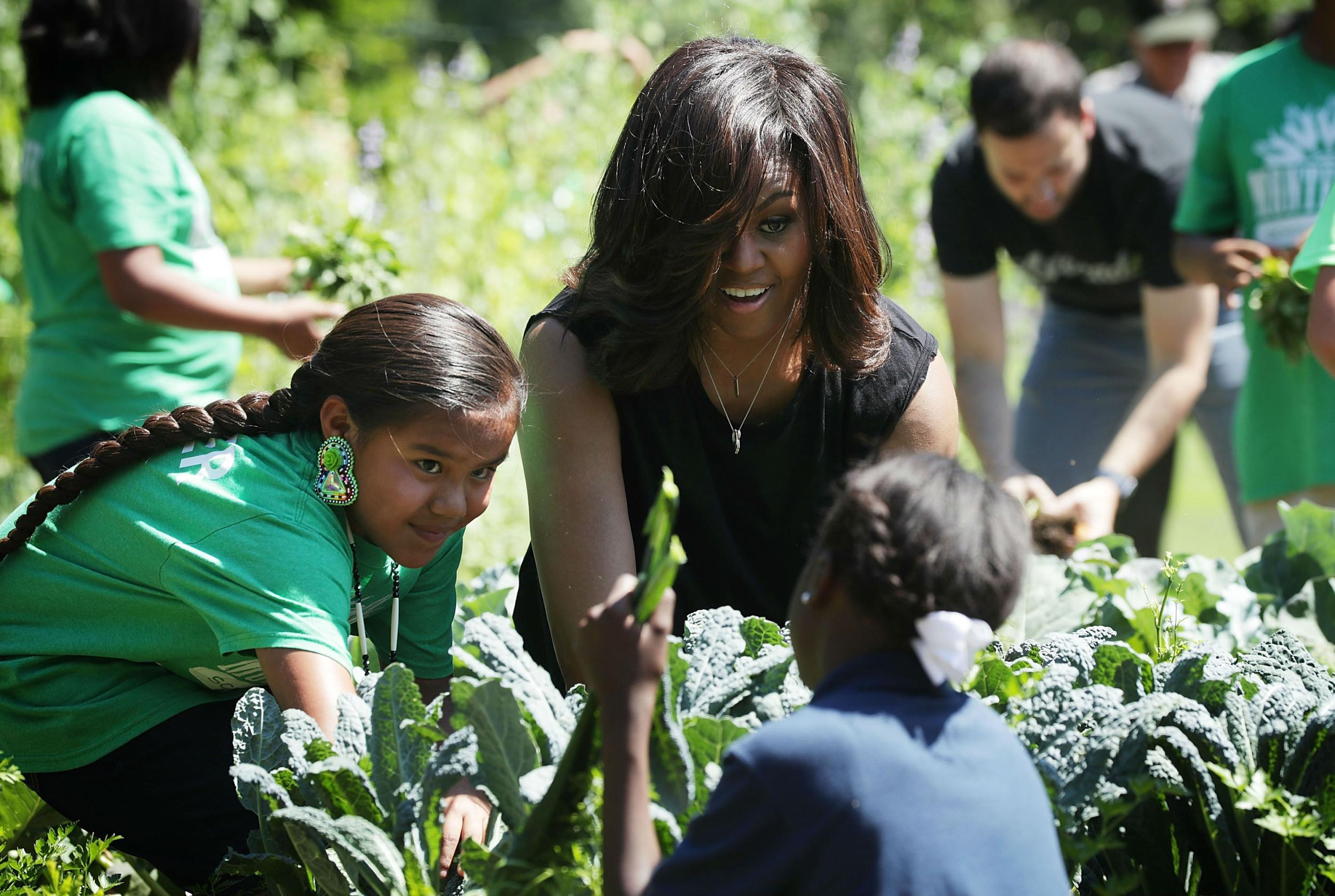 The kitchen garden started in 2009 and has grown to almost 3,000 square feet