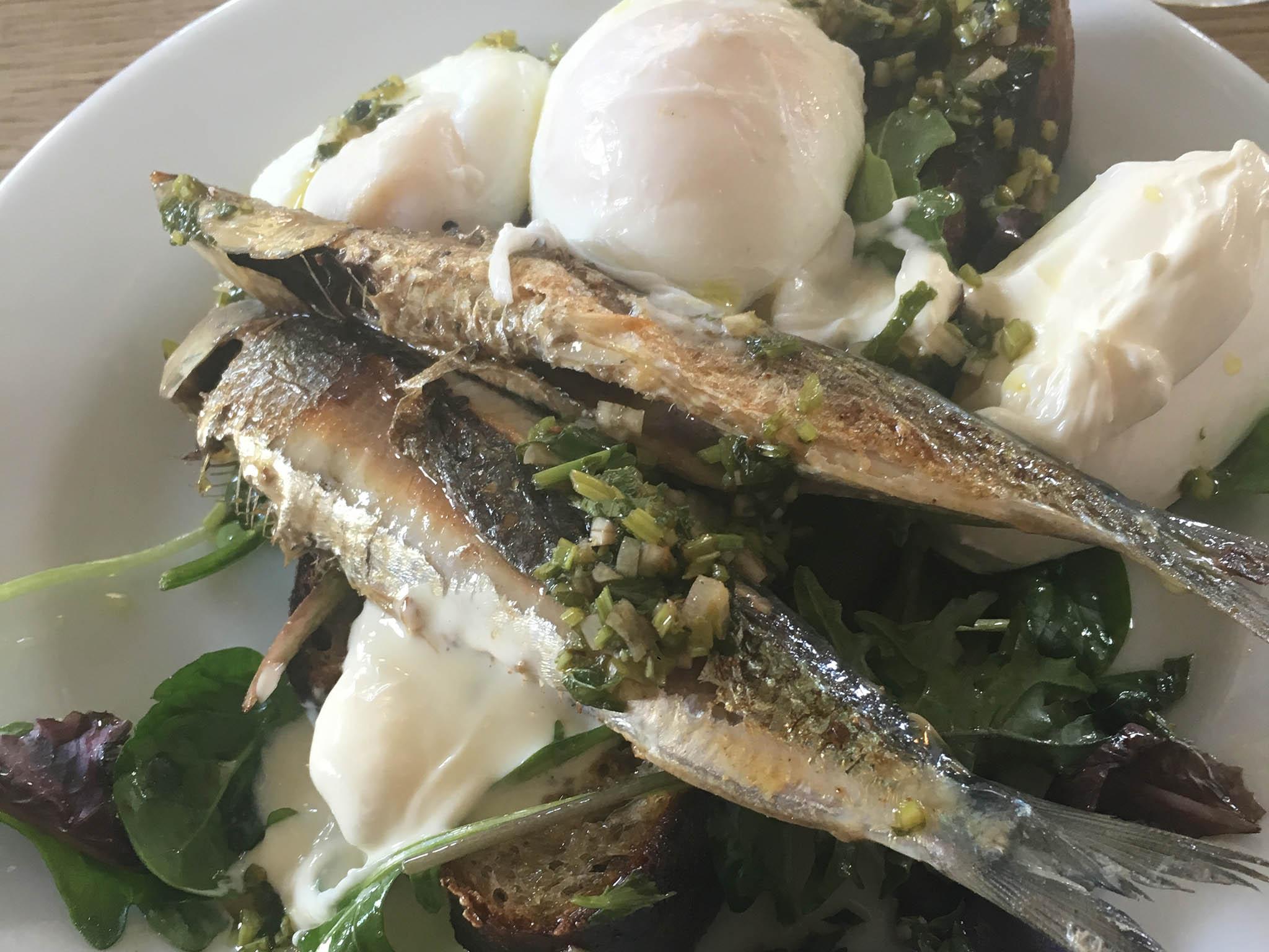 Poco's roasted sardines, poached eggs with mojo verde and crème fraîche