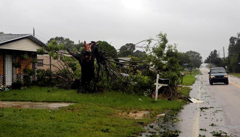 A fallen tree is seen outside a house after Hurricane Matthew hits in Melbourne, Florida, U.S., October 7, 2016. REUTERS/Henry Romero - RTSR89S