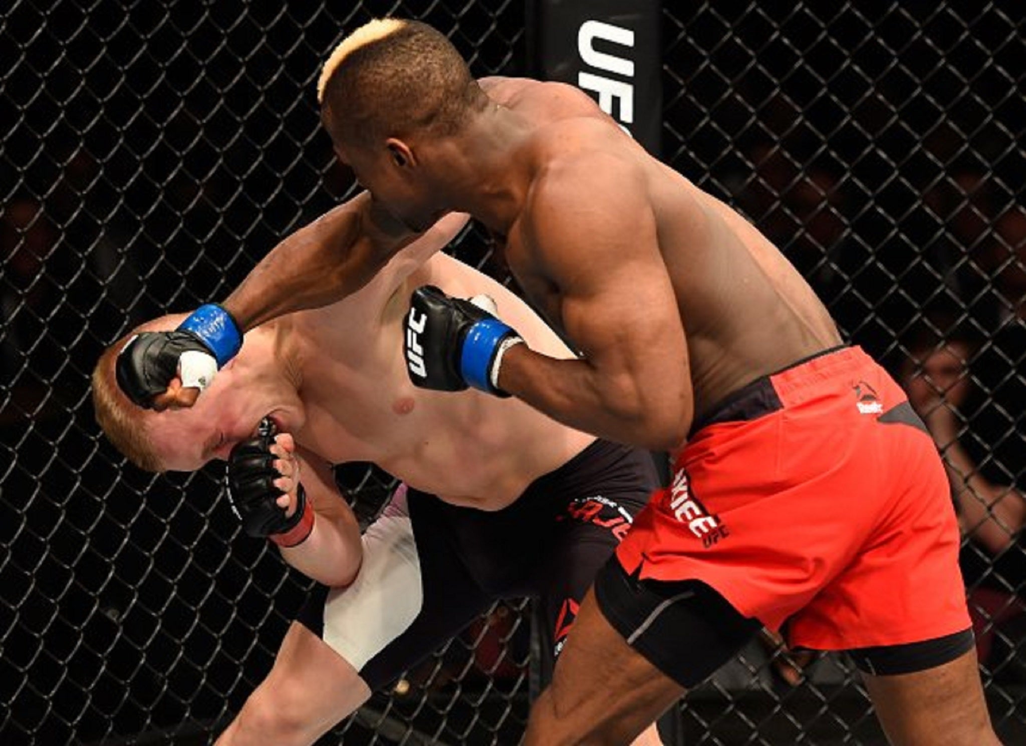 Marc Diakiese beat Lukasz Sajewski on his UFC debut