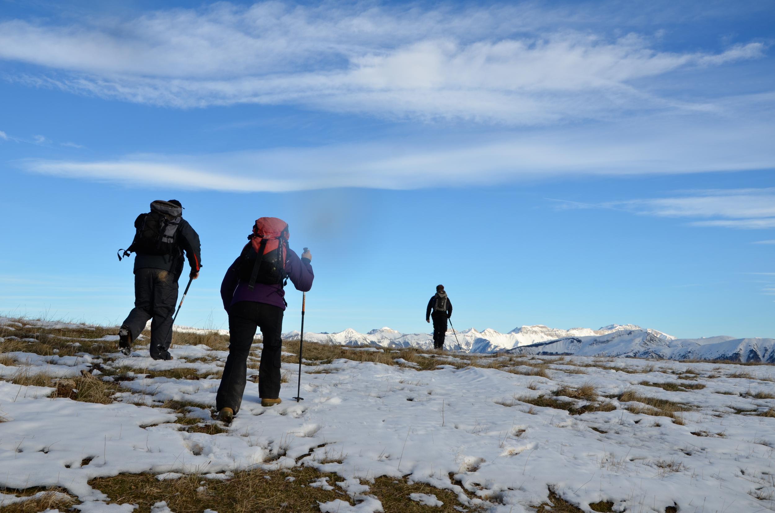 A tour group on the hunt