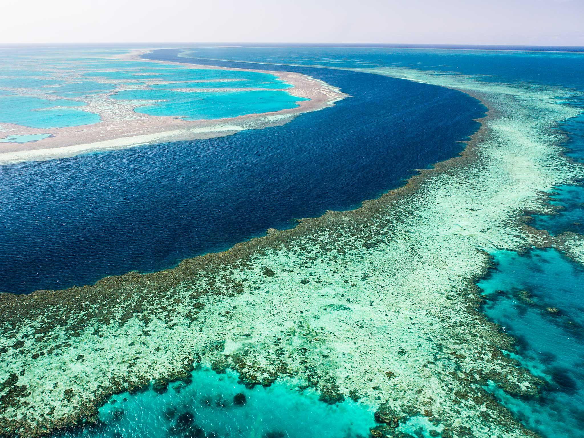 The great Barrier Reef