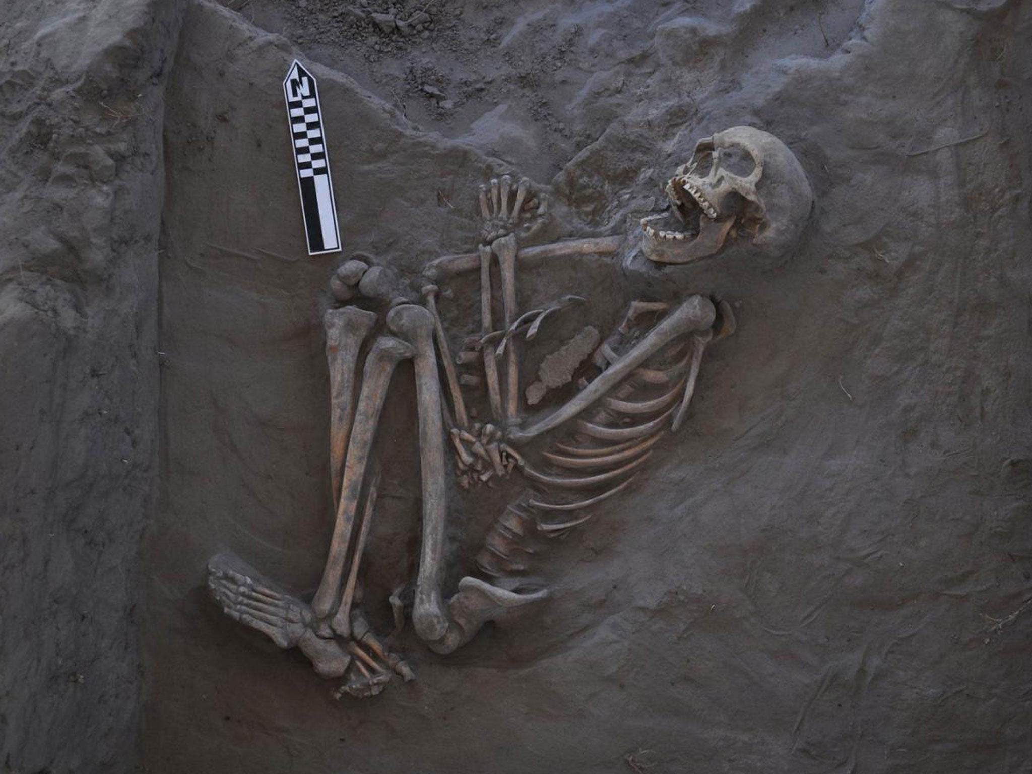 The remains were discovered in 2014