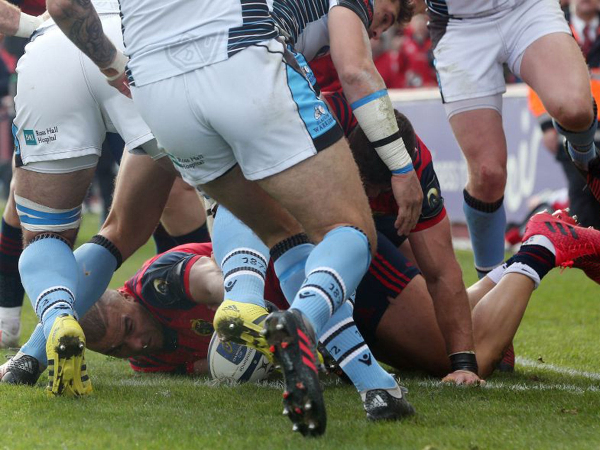 Simon Zebo scores Munster's third try after managing to work the ball free and touch it down on the line