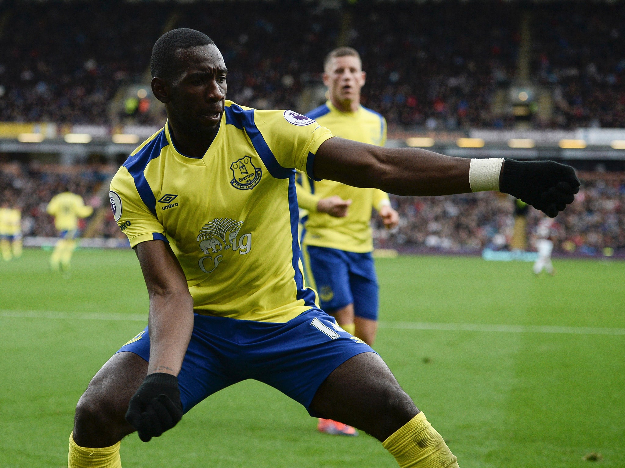 Yannick Bolasie celebrates after scoring Everton's equaliser