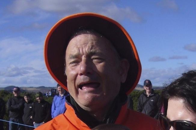 Bill Murray or Tom Hanks?