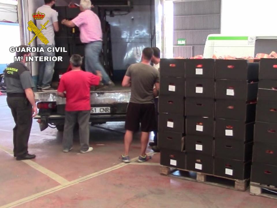 Drugs were vacuum-packed and hidden among the crates of oranges, making them difficult for sniffer dogs to detect